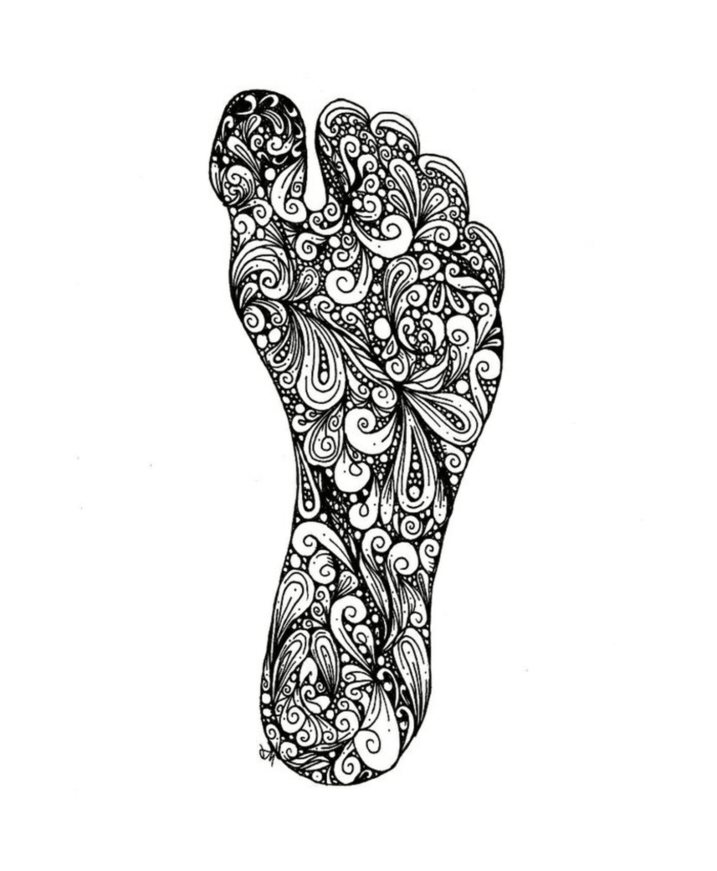  Un piede 