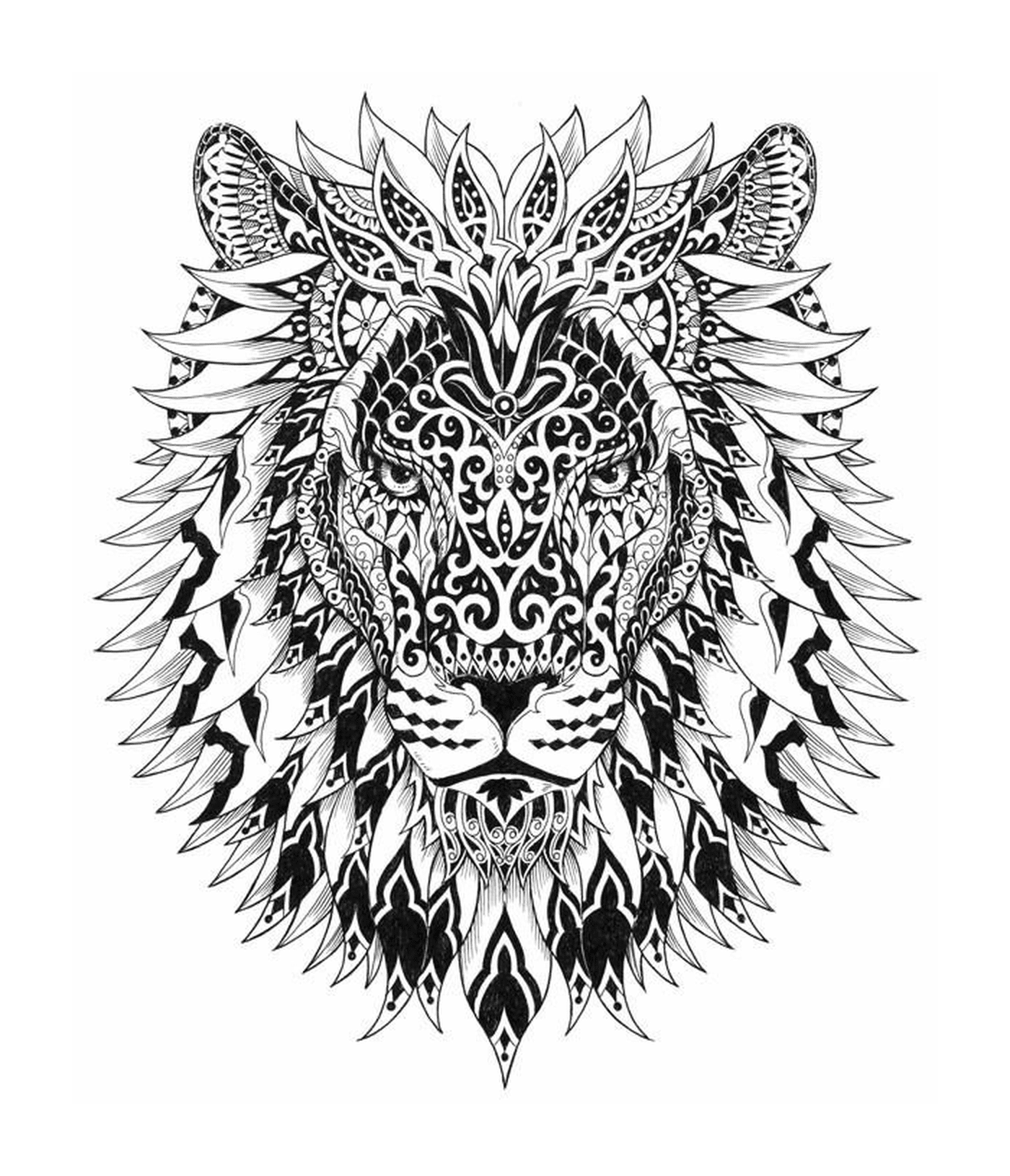  Der Kopf eines Löwen 