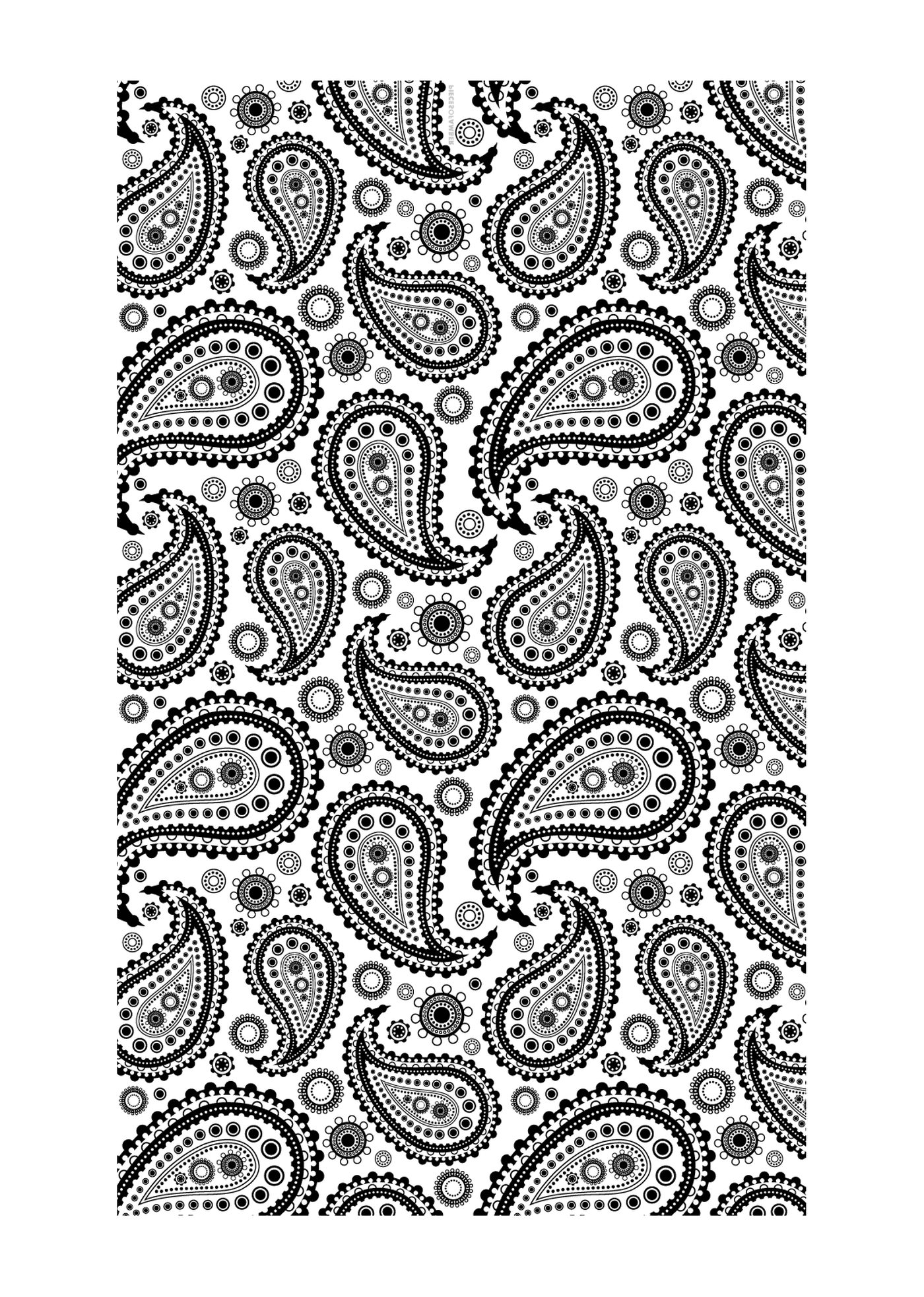  Un patrón de diseño Paisley 