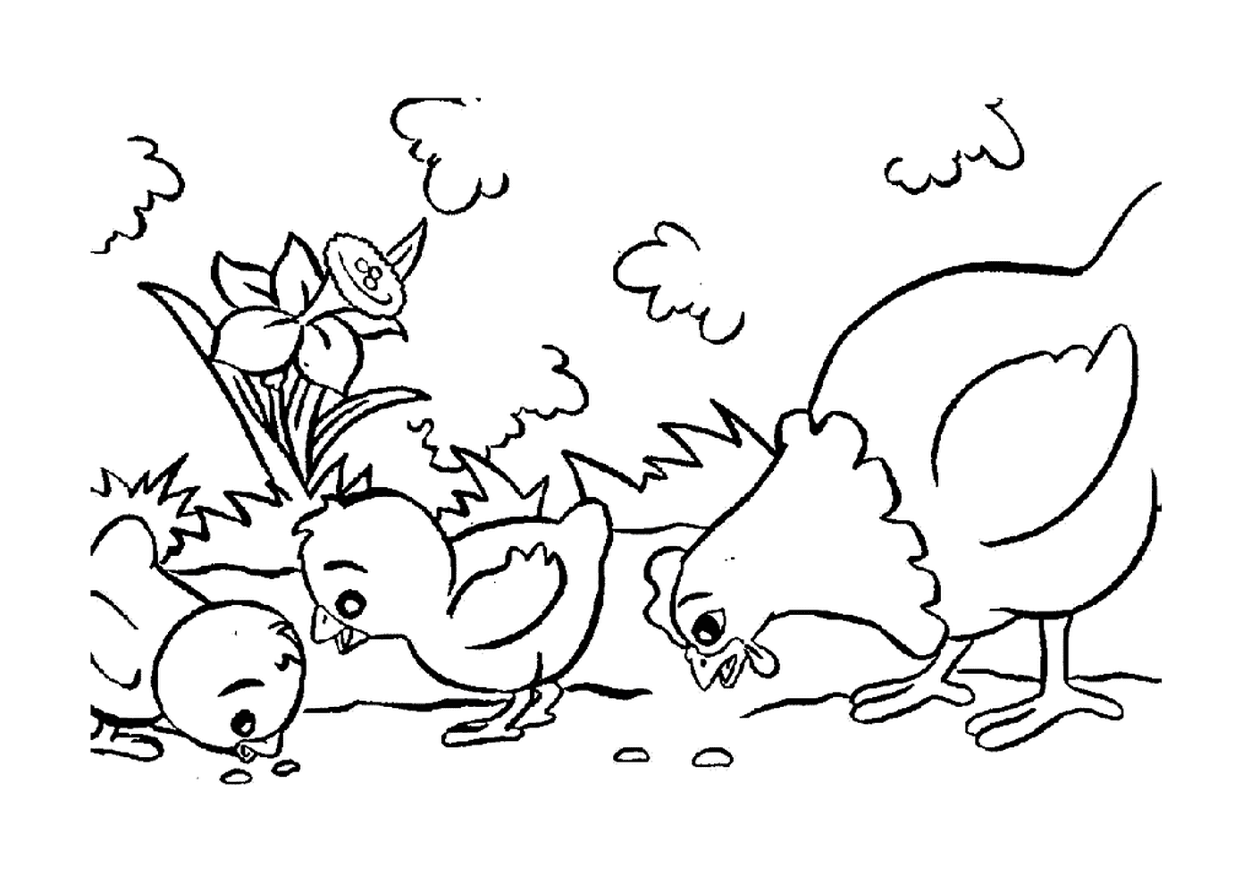  gallinas de Pascua y polluelos picoteando 
