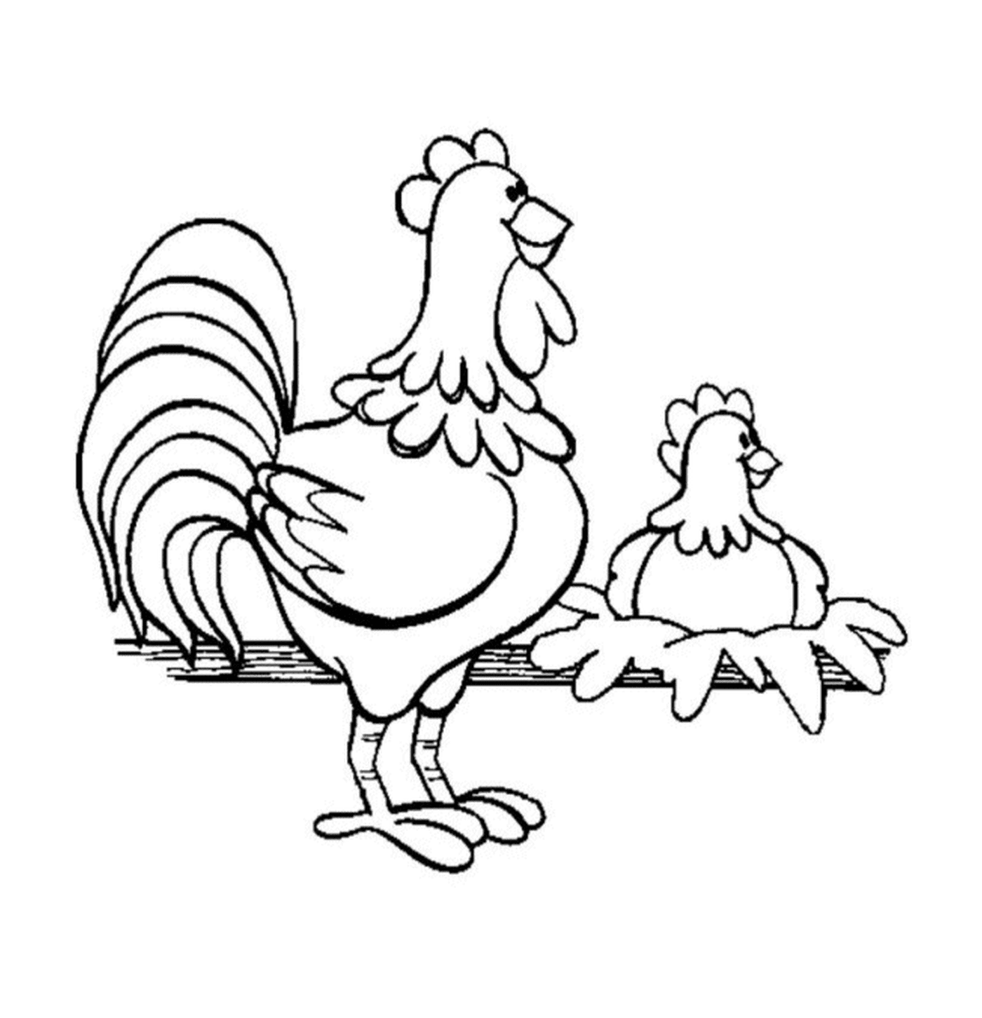  Zwei Hühner thront Zaun 