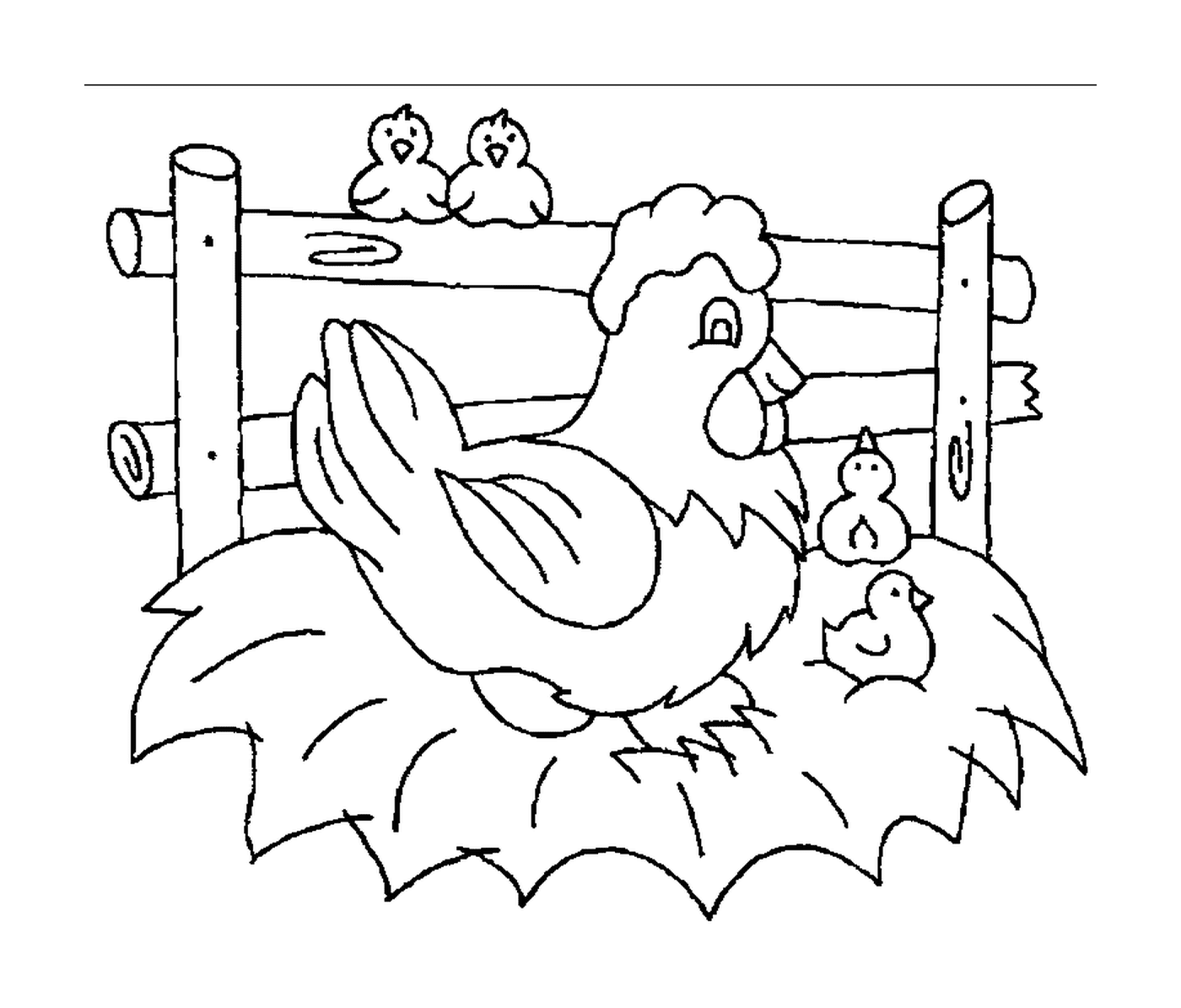 Huhn und drei Küken 
