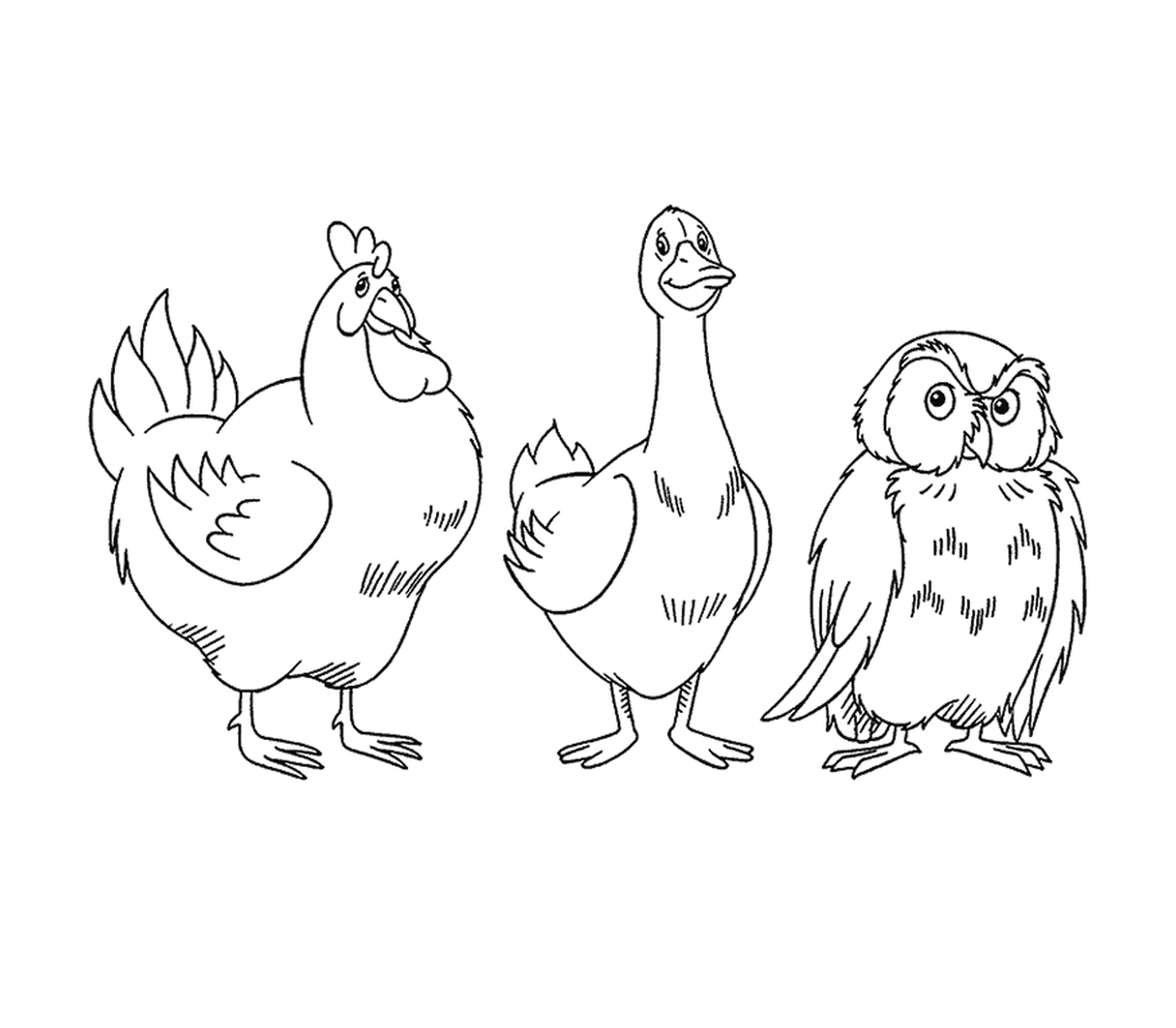 Owl, goose, and chicken 