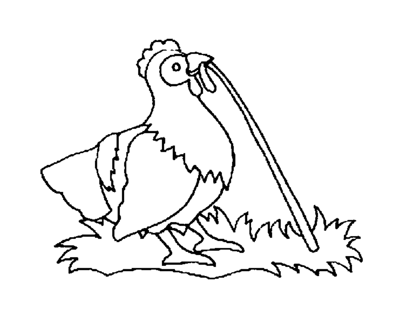  Chicken holds stick mouth 