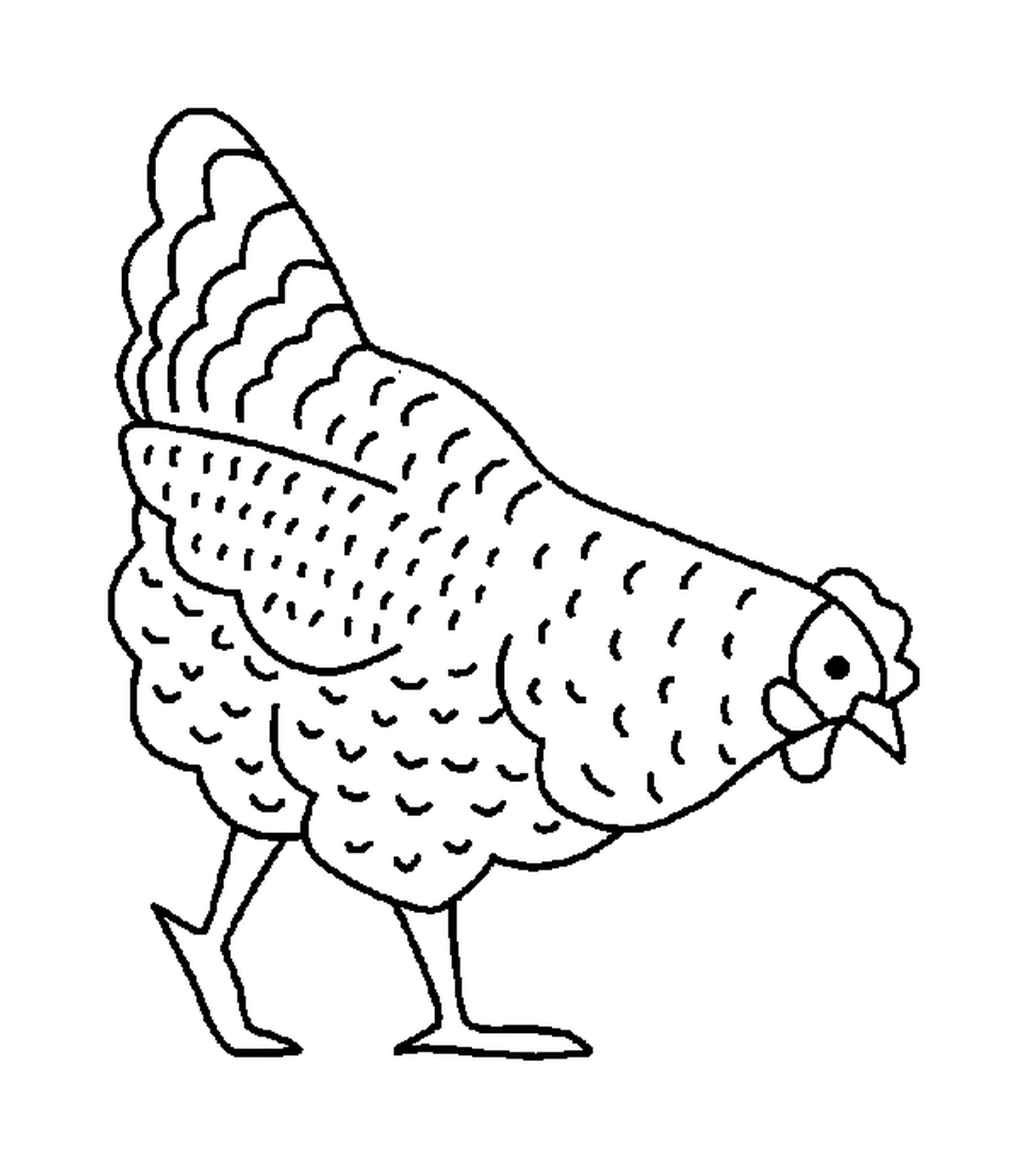  Majestätisches Huhn allein stehend 