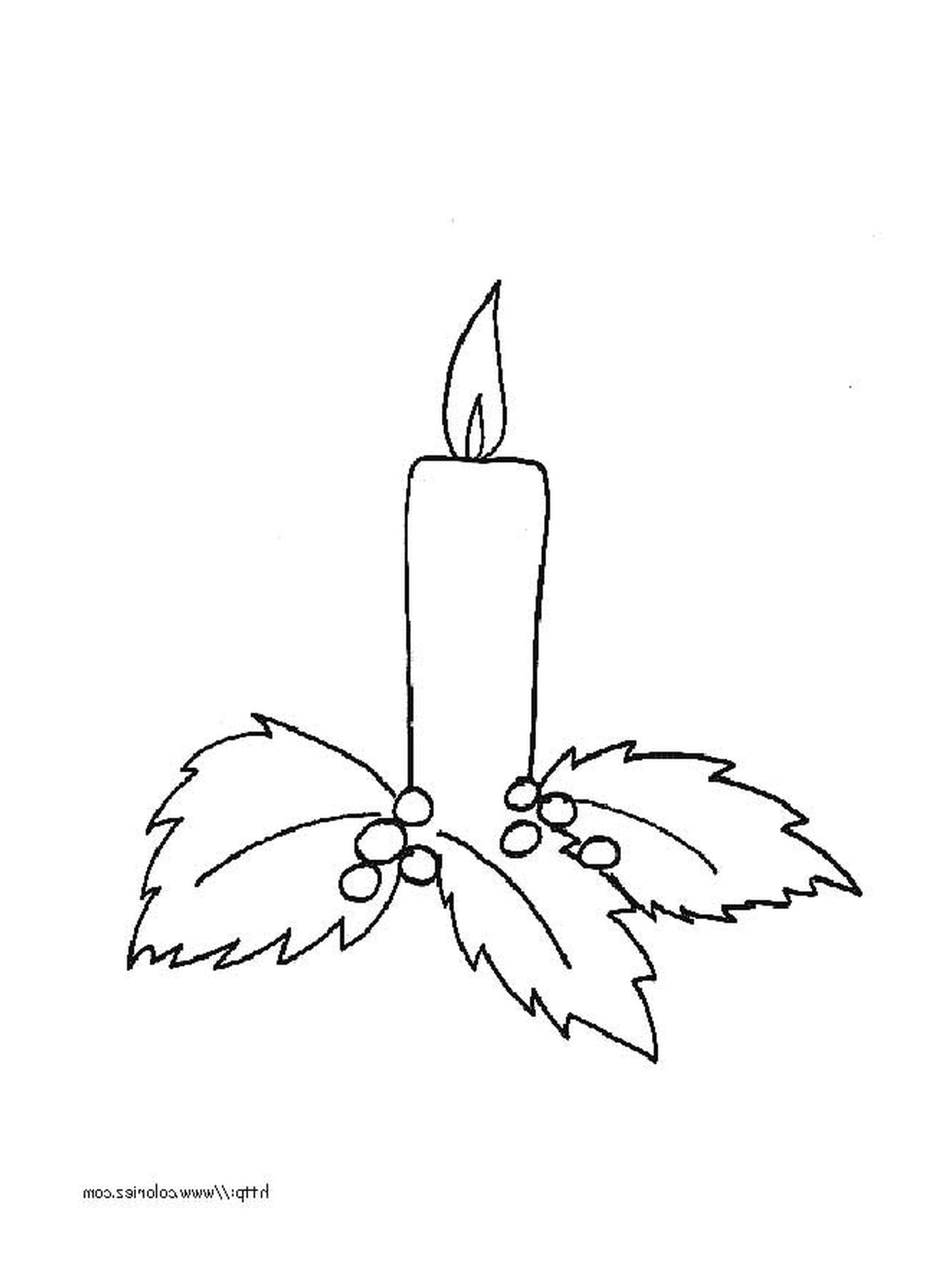  Una candela illuminata circondata da foglie 