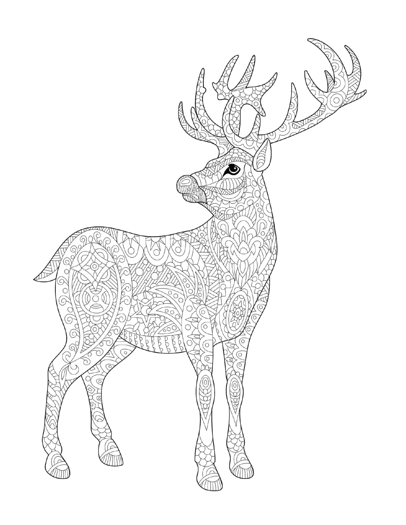  A reindeer with a perched bird 