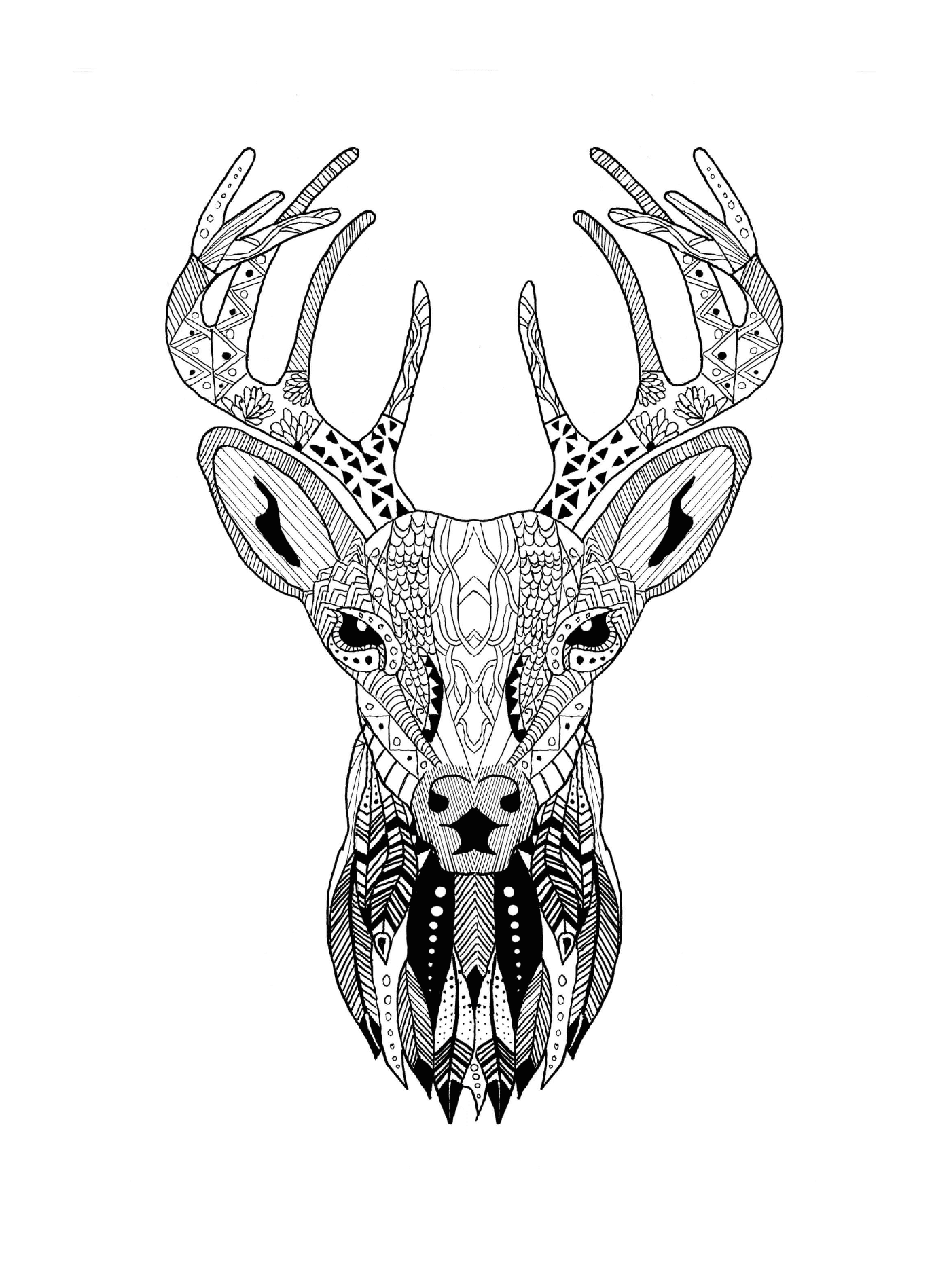  A deer's head 