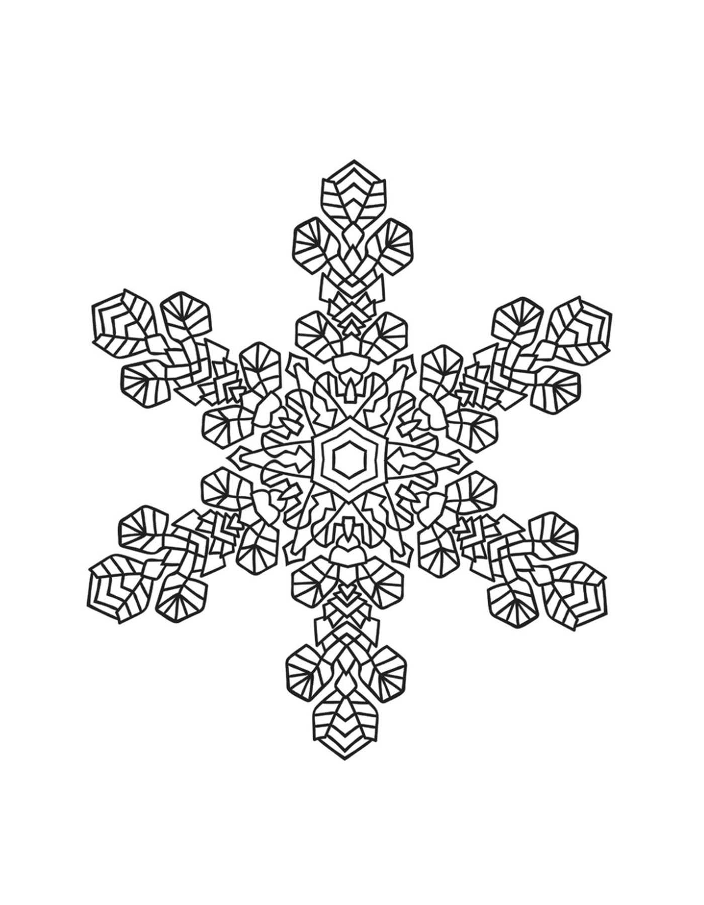  Detaillierte Schneeflocke 