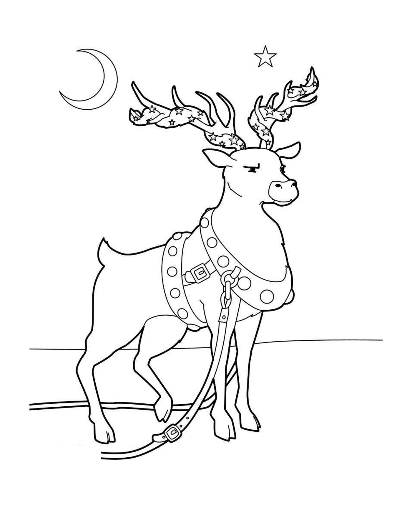  Furie, the most powerful of eight reindeer 
