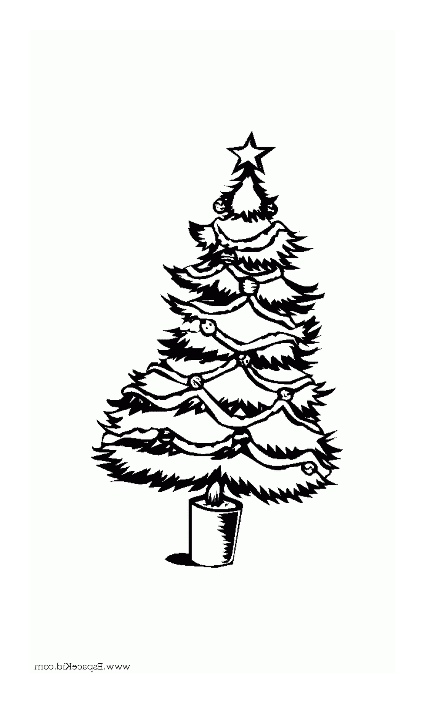  A traditional Christmas tree 