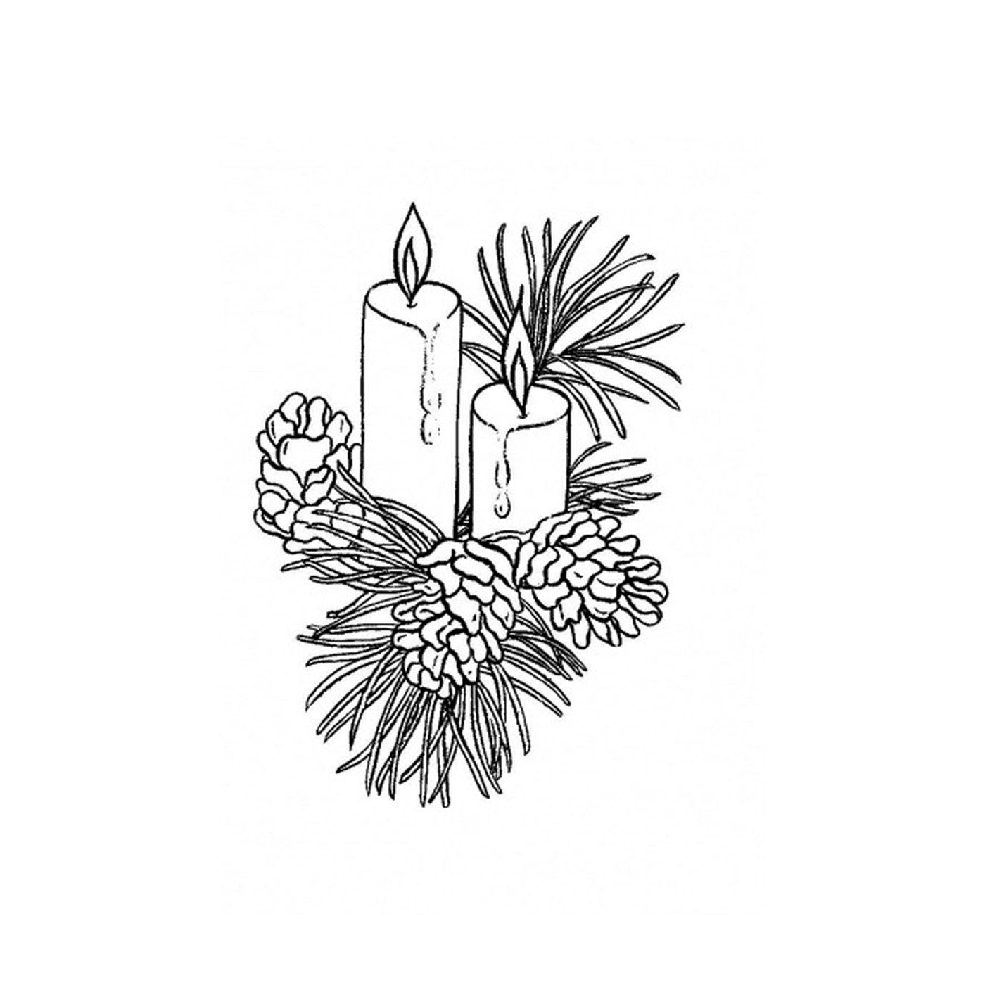  Two candles lit on a pine branch 