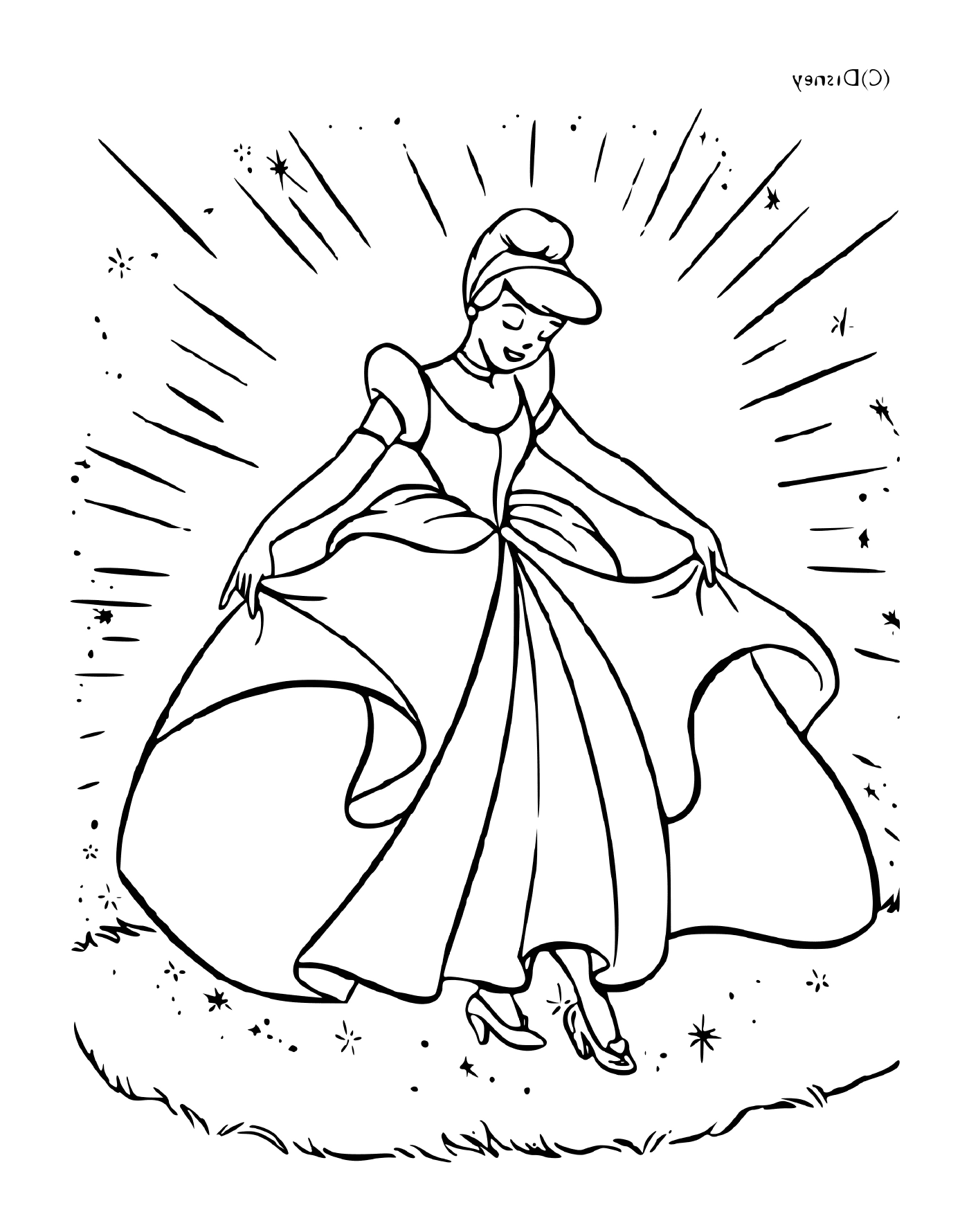  Die wunderbare Prinzessin Cinderella 