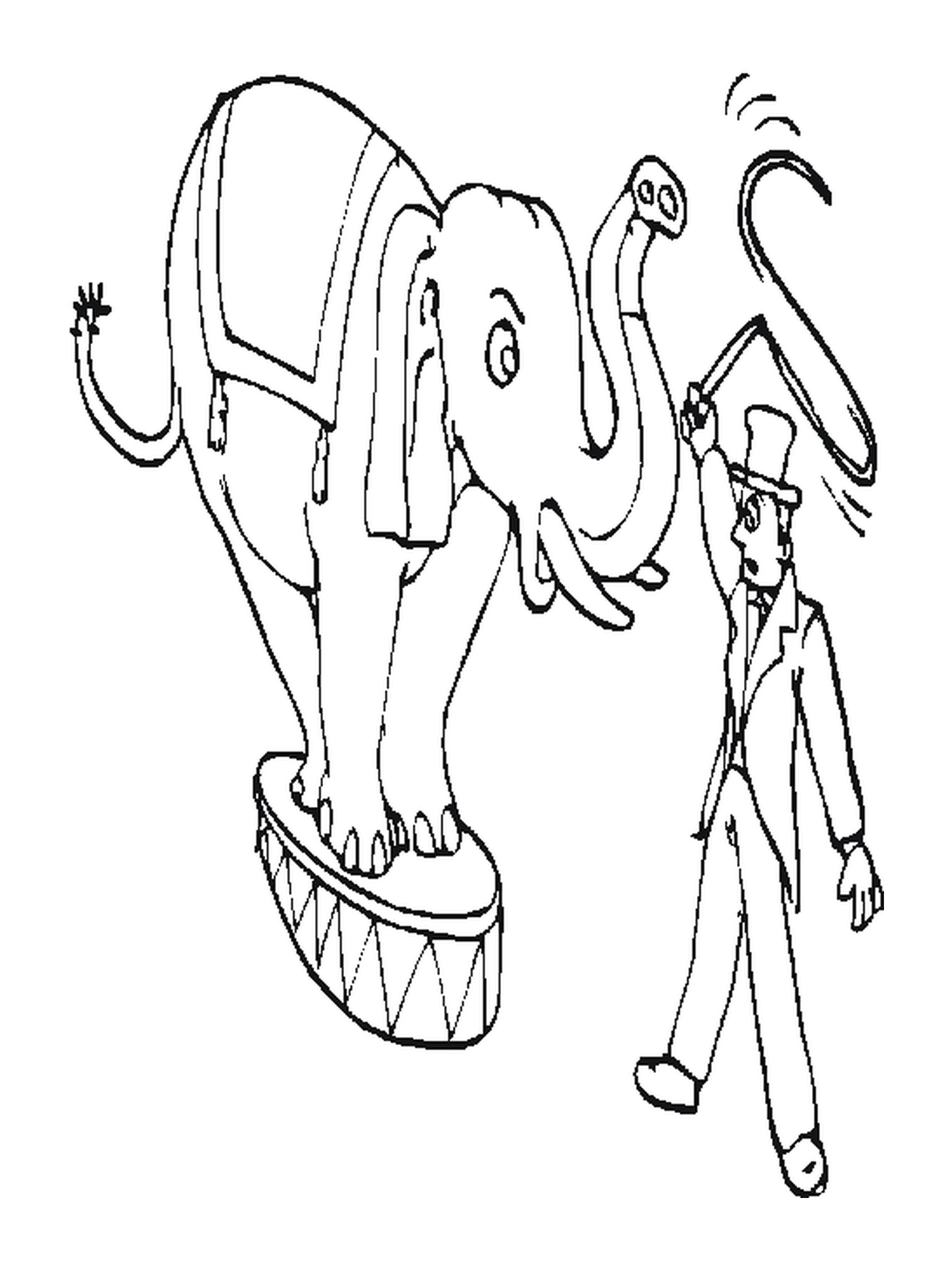  Un entrenador con un elefante para el circo 