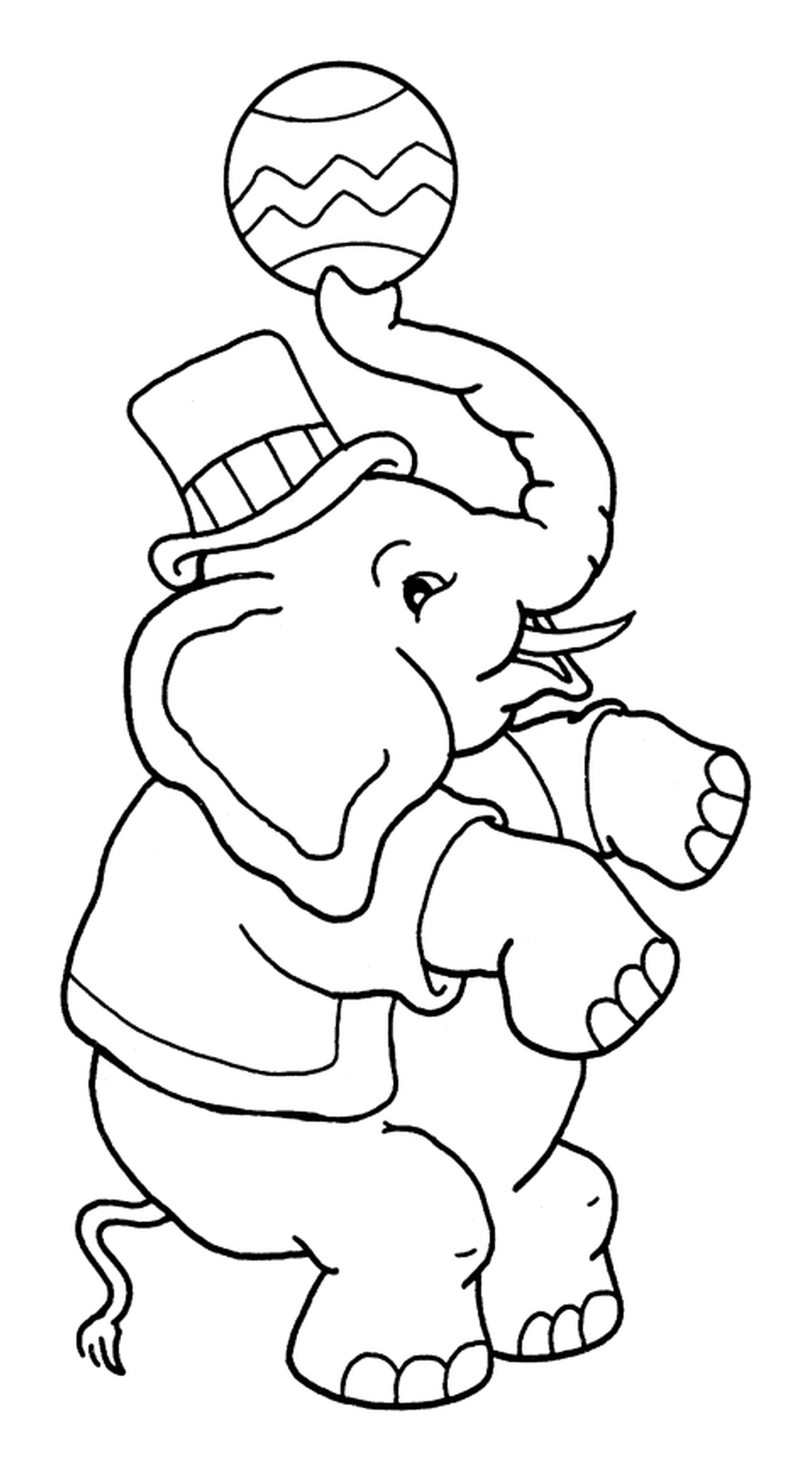  An elephant juggler for the circus 
