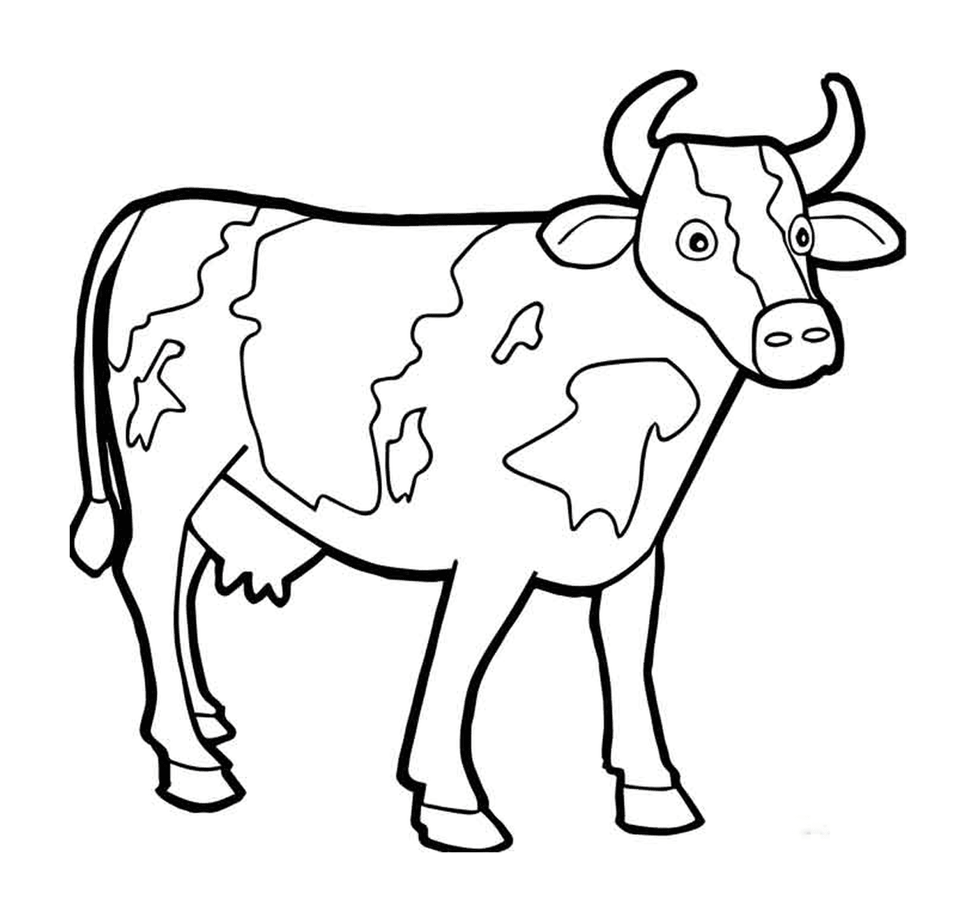  Carni bovine 