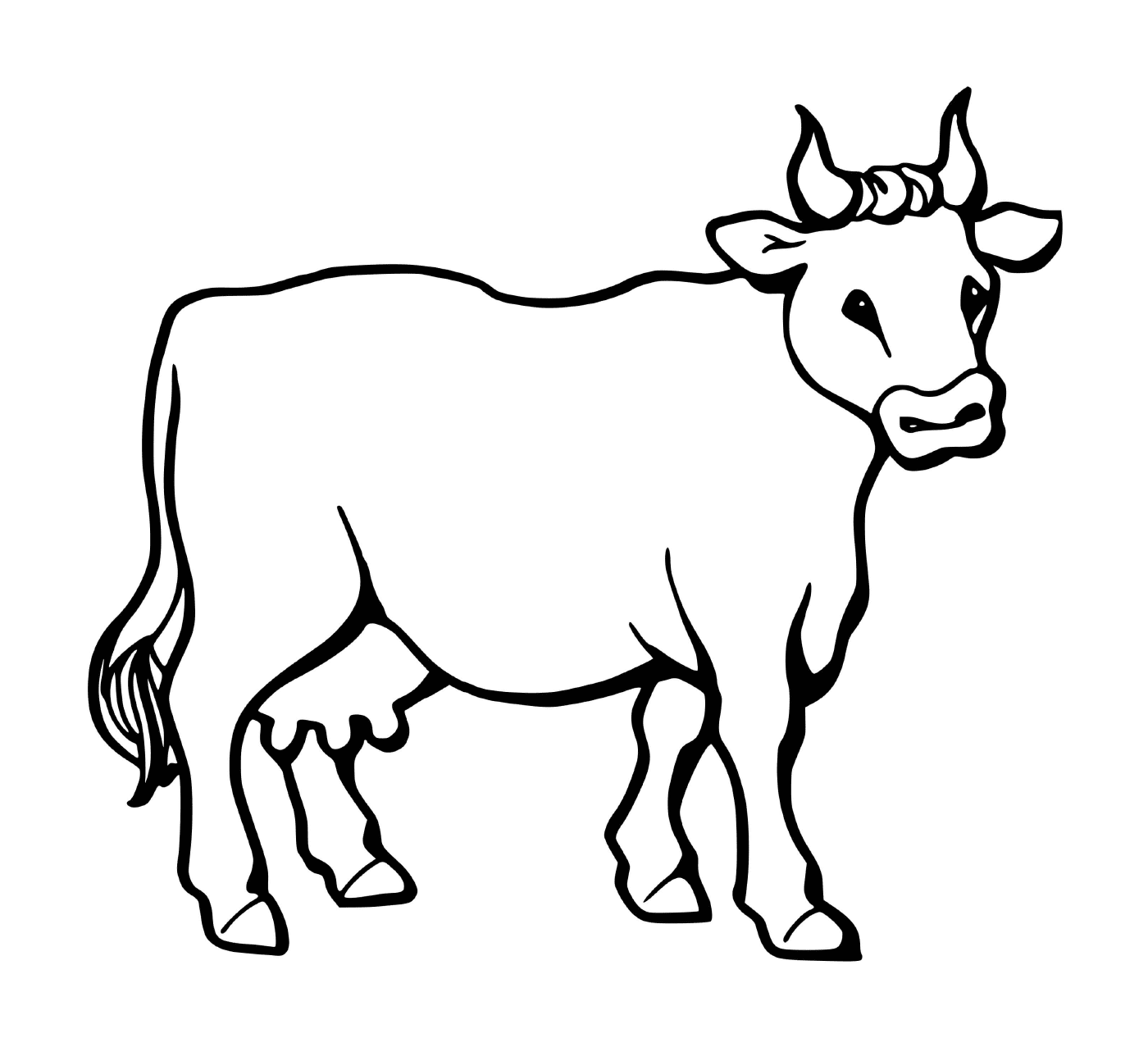  Семья Бовид, корова 