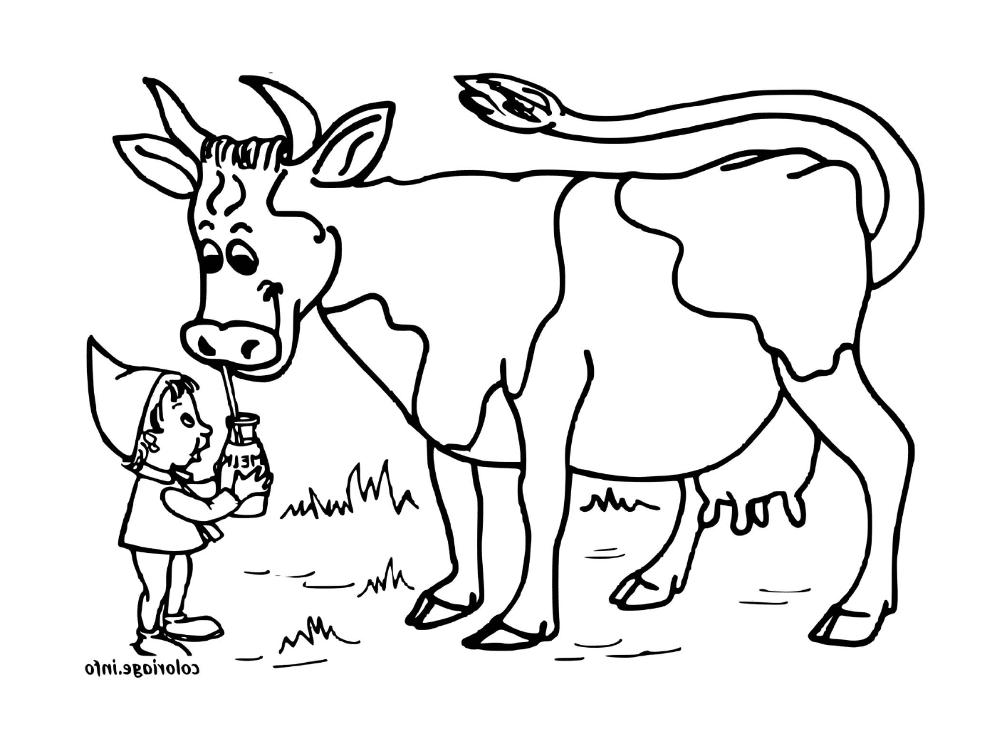  Корова, пьющая молоко 