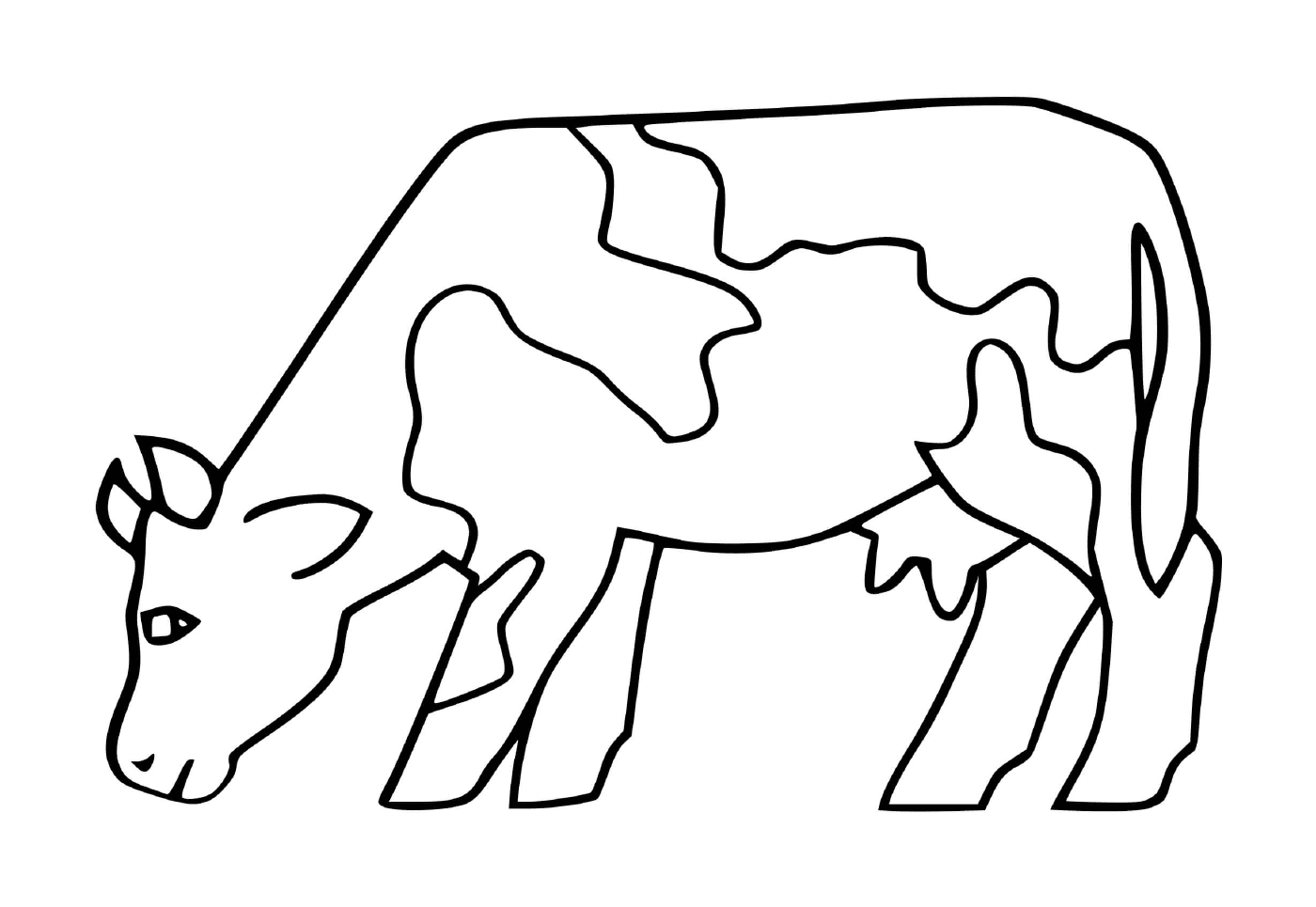  Mucche che mangiano erba 