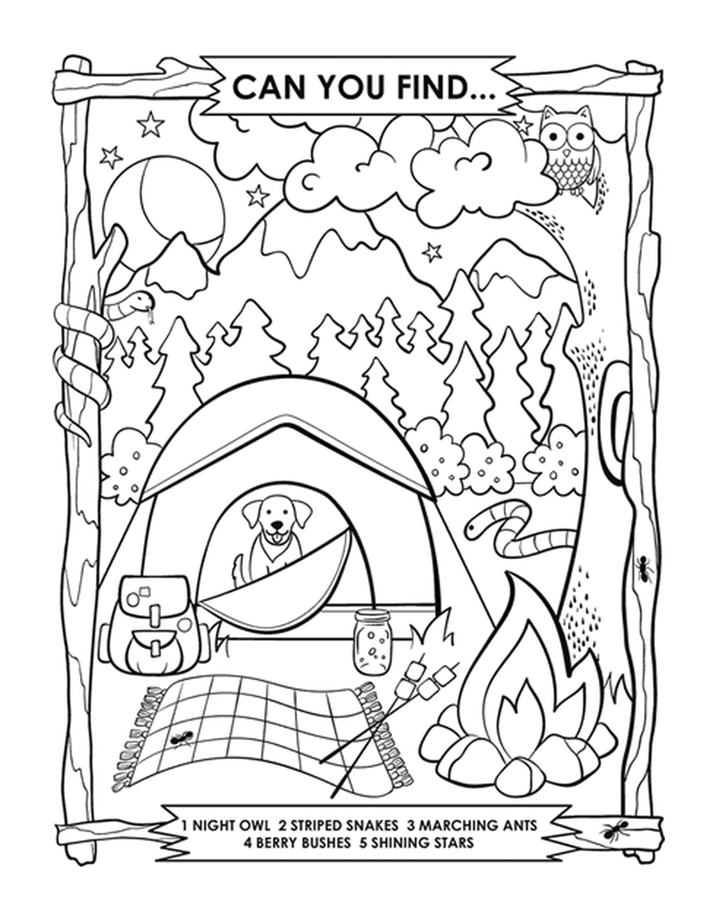  A camping search, find the dog in a tent 
