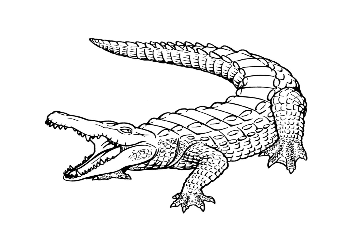  A realistic marine crocodile with an open mouth 