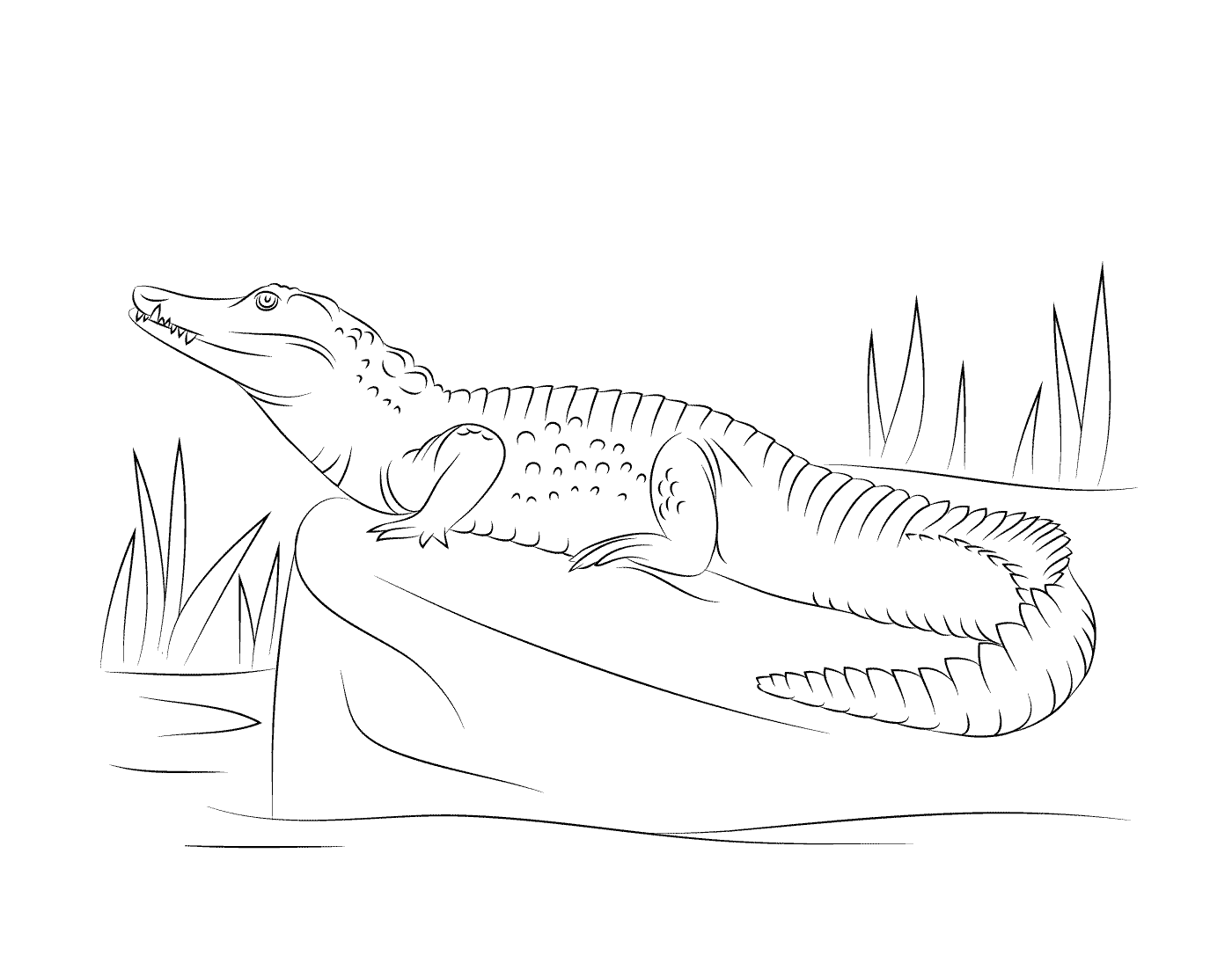  Нильский крокодил, виденный из профиля, сидит на скале 