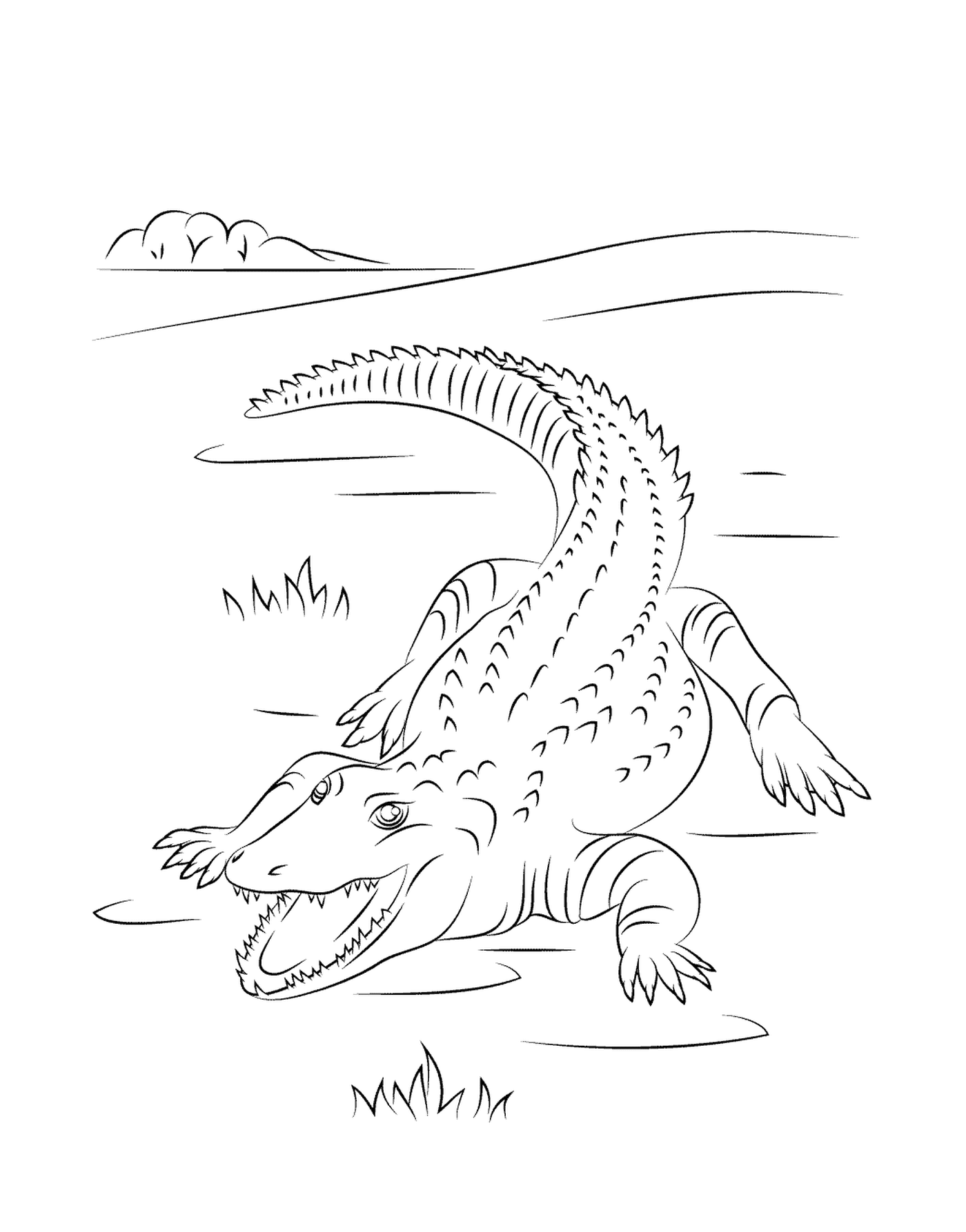  Un lindo cocodrilo del Nilo en el agua 