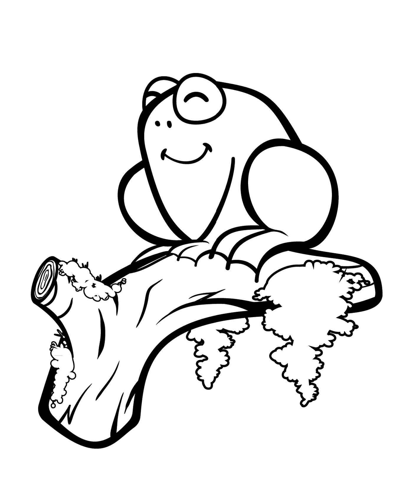  Ein Frosch sitzt auf einem Ast 