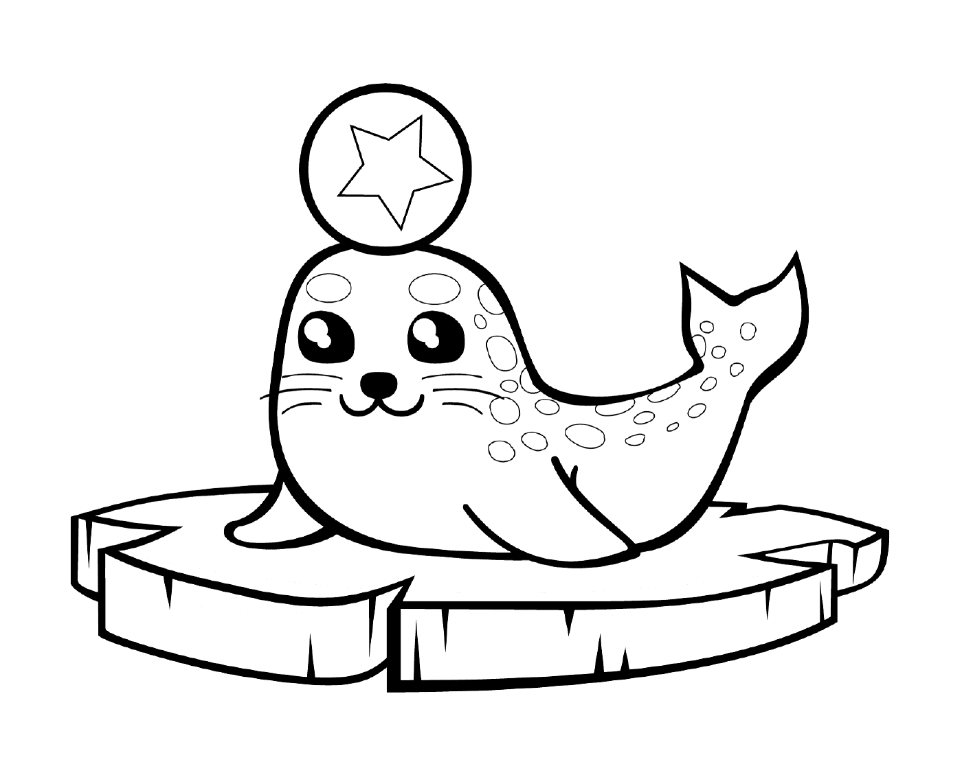  A seal sitting on an iceberg 