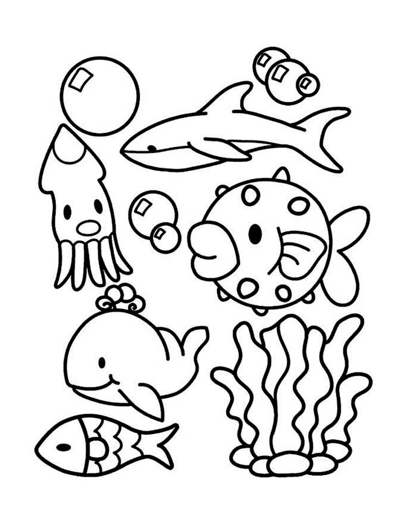  Un grupo de animales marinos en el agua 