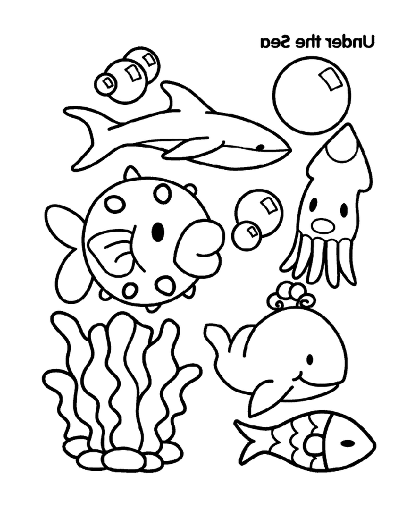  Un gruppo di animali marini 
