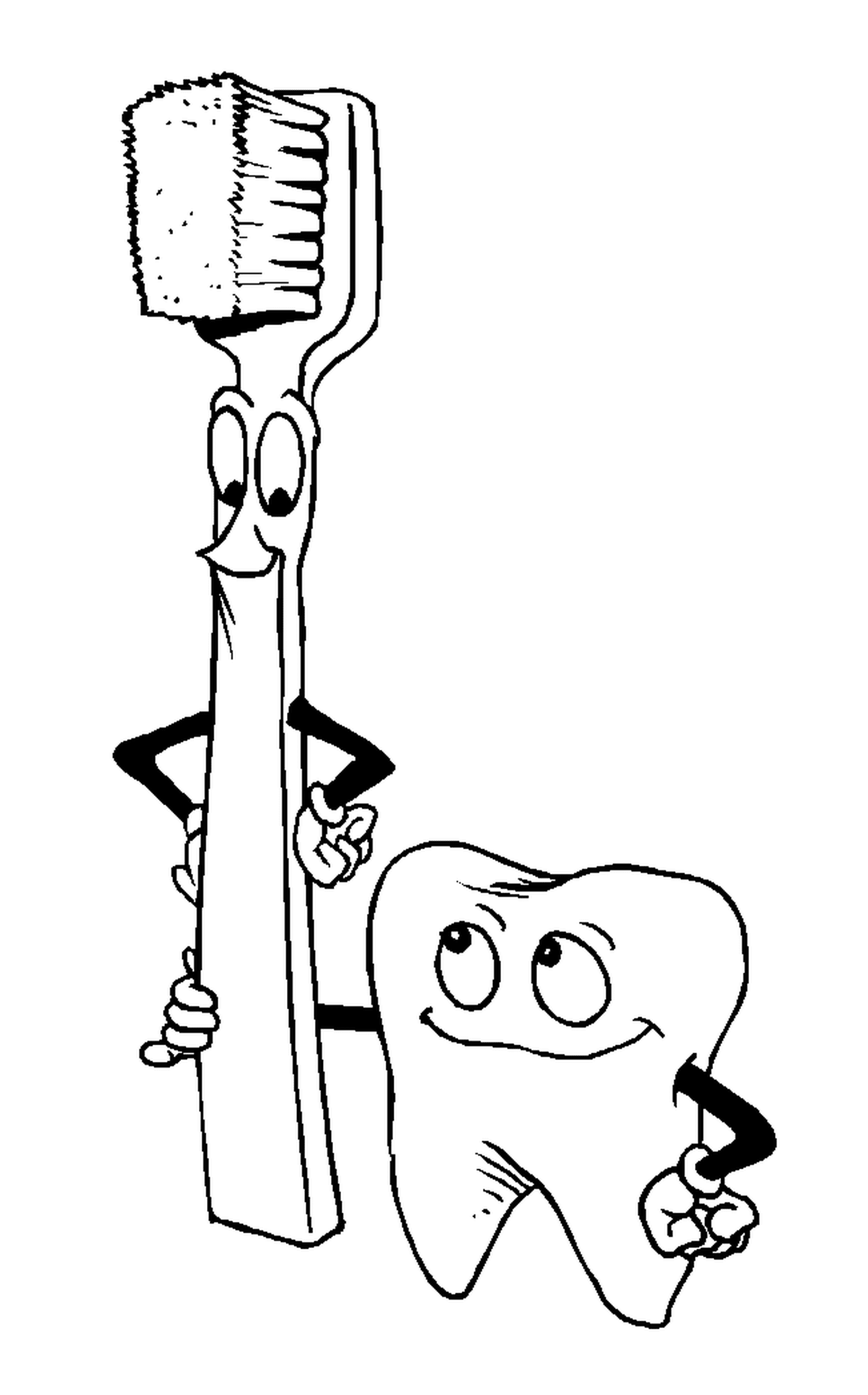  Tooth and toothbrush 