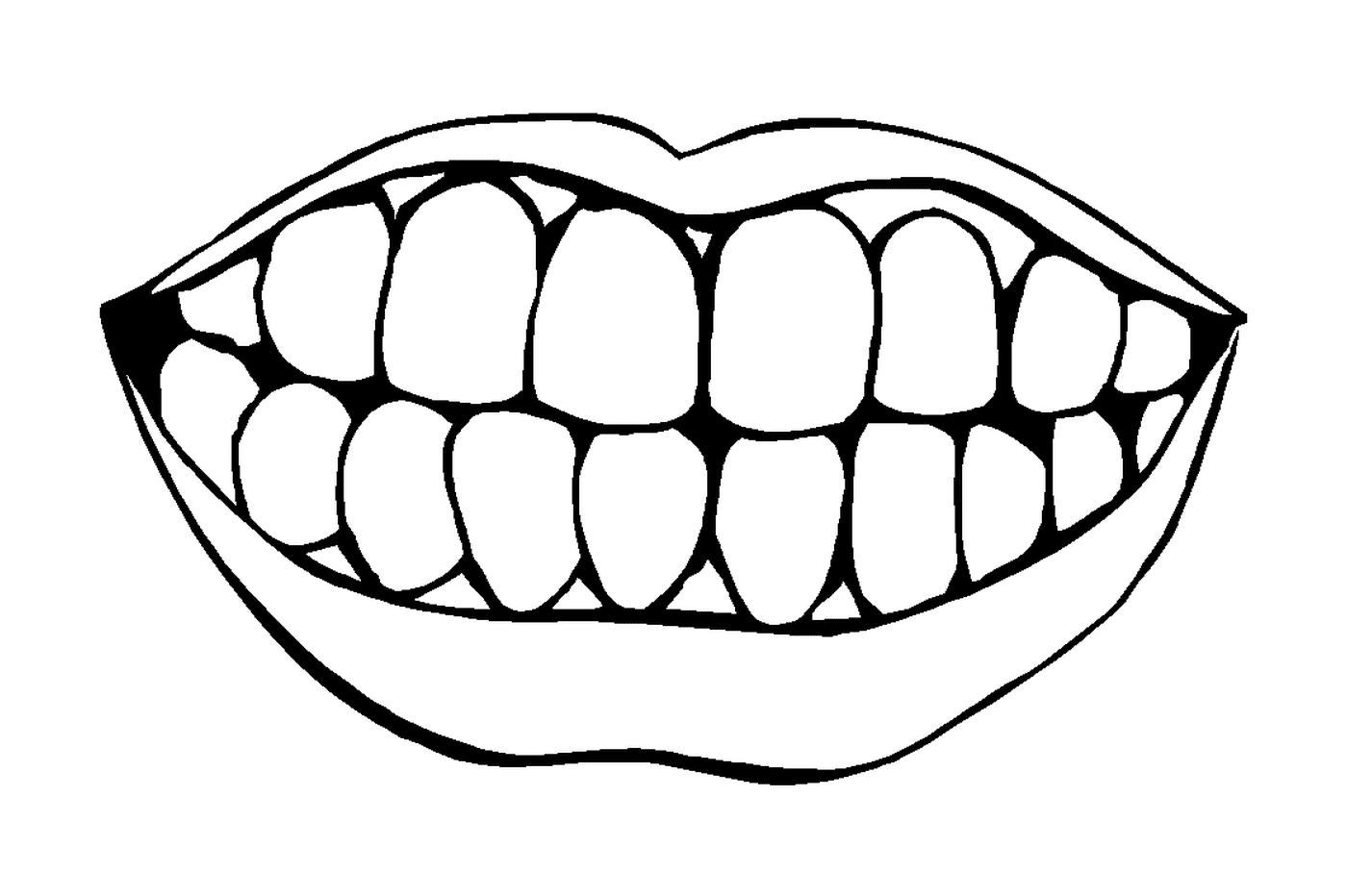 Улыбка и зубы 