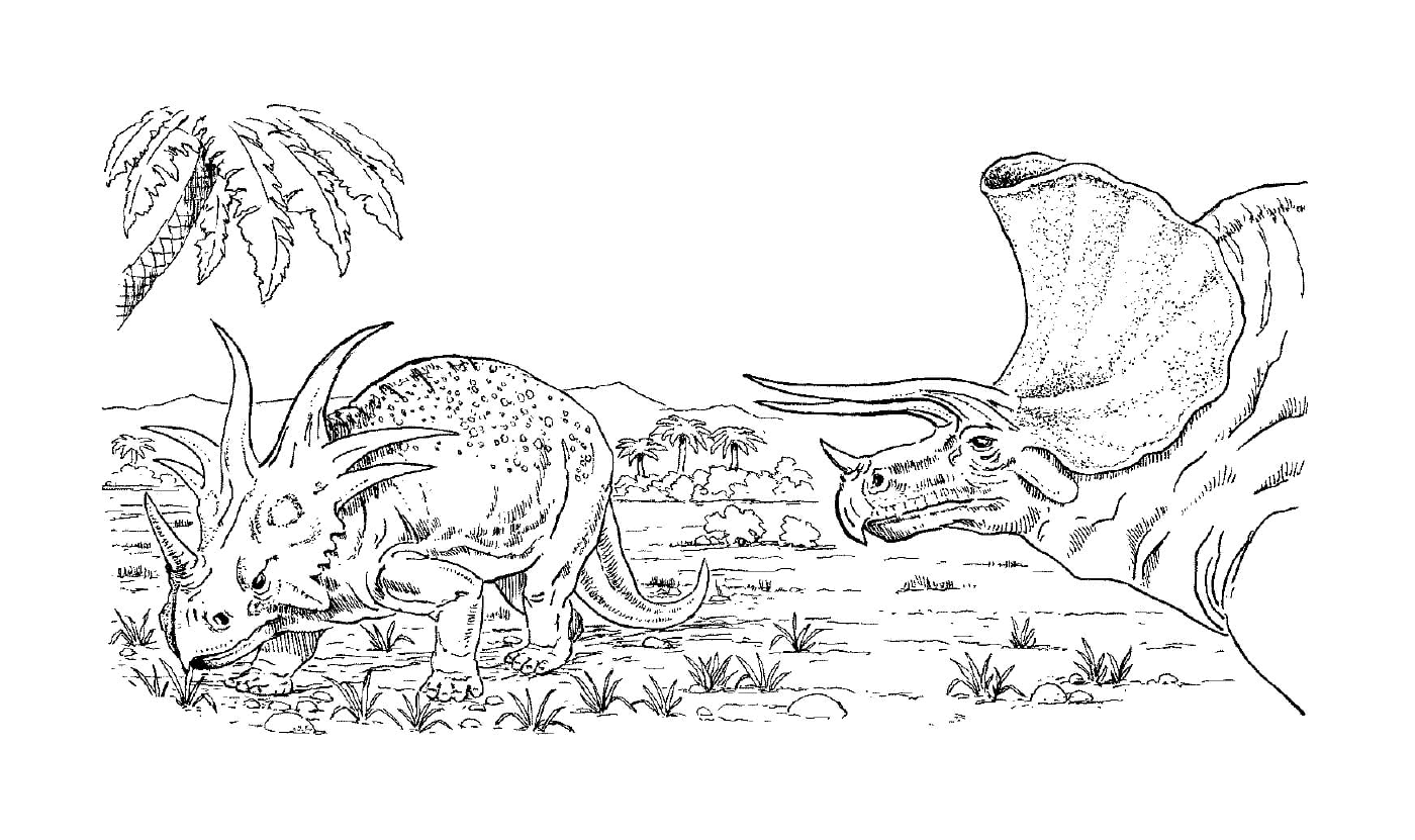 Two herbivorous triceratops in a field