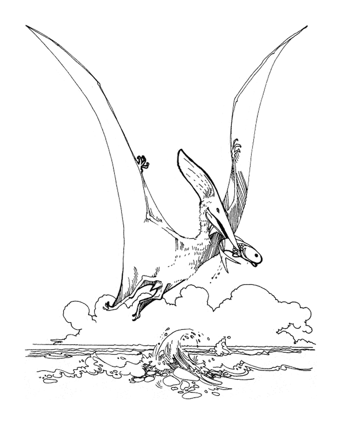  Pterodactyl over an area of water 
