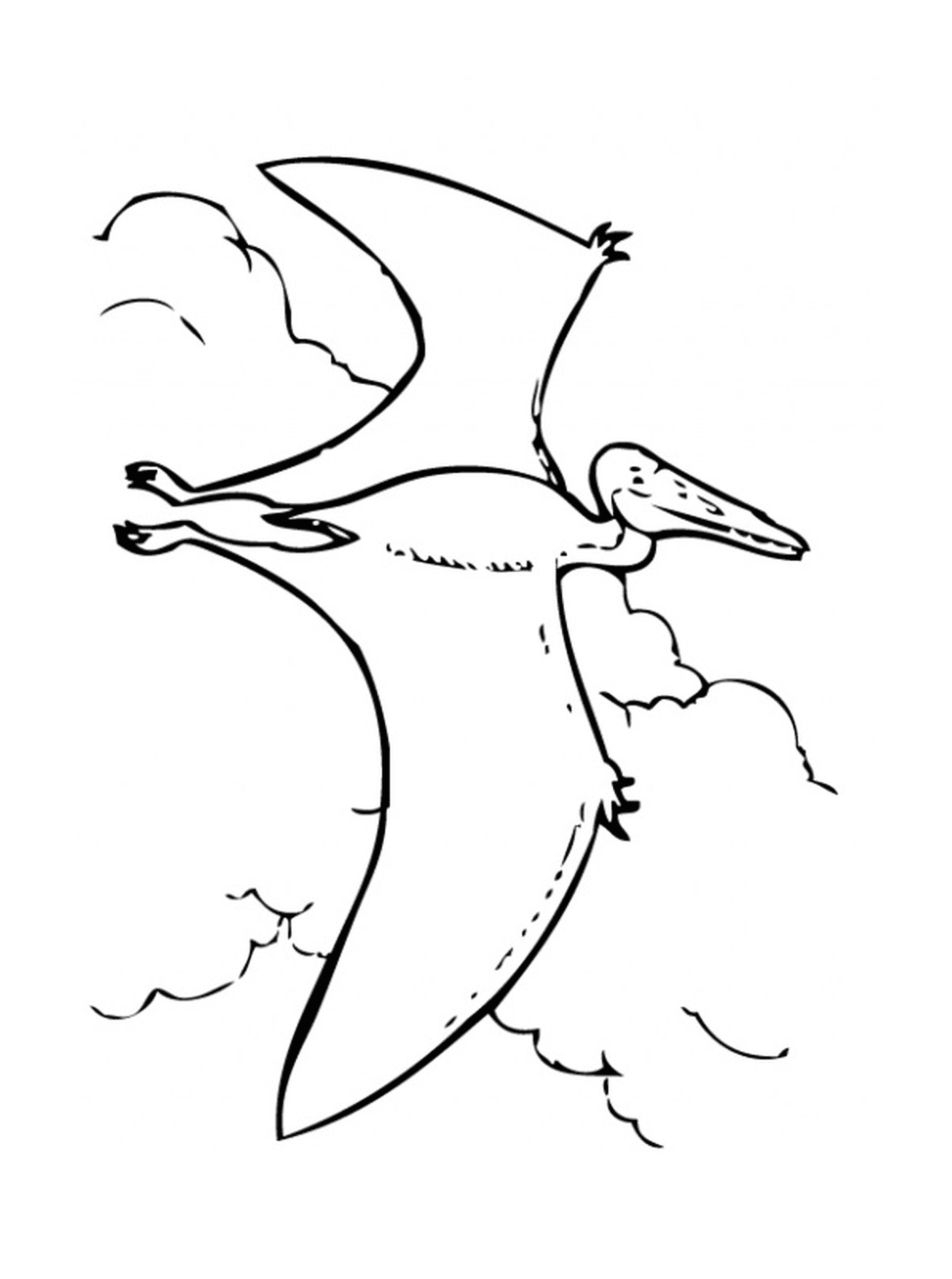  Pterodactylus volando en el cielo 
