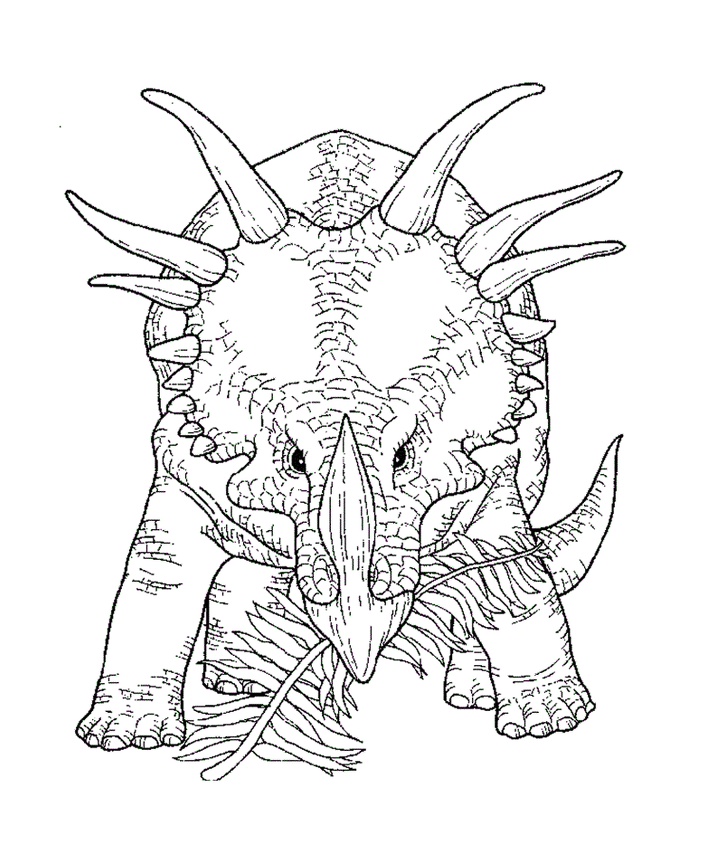  Ein erwachsener Triceratops auf dem Display 
