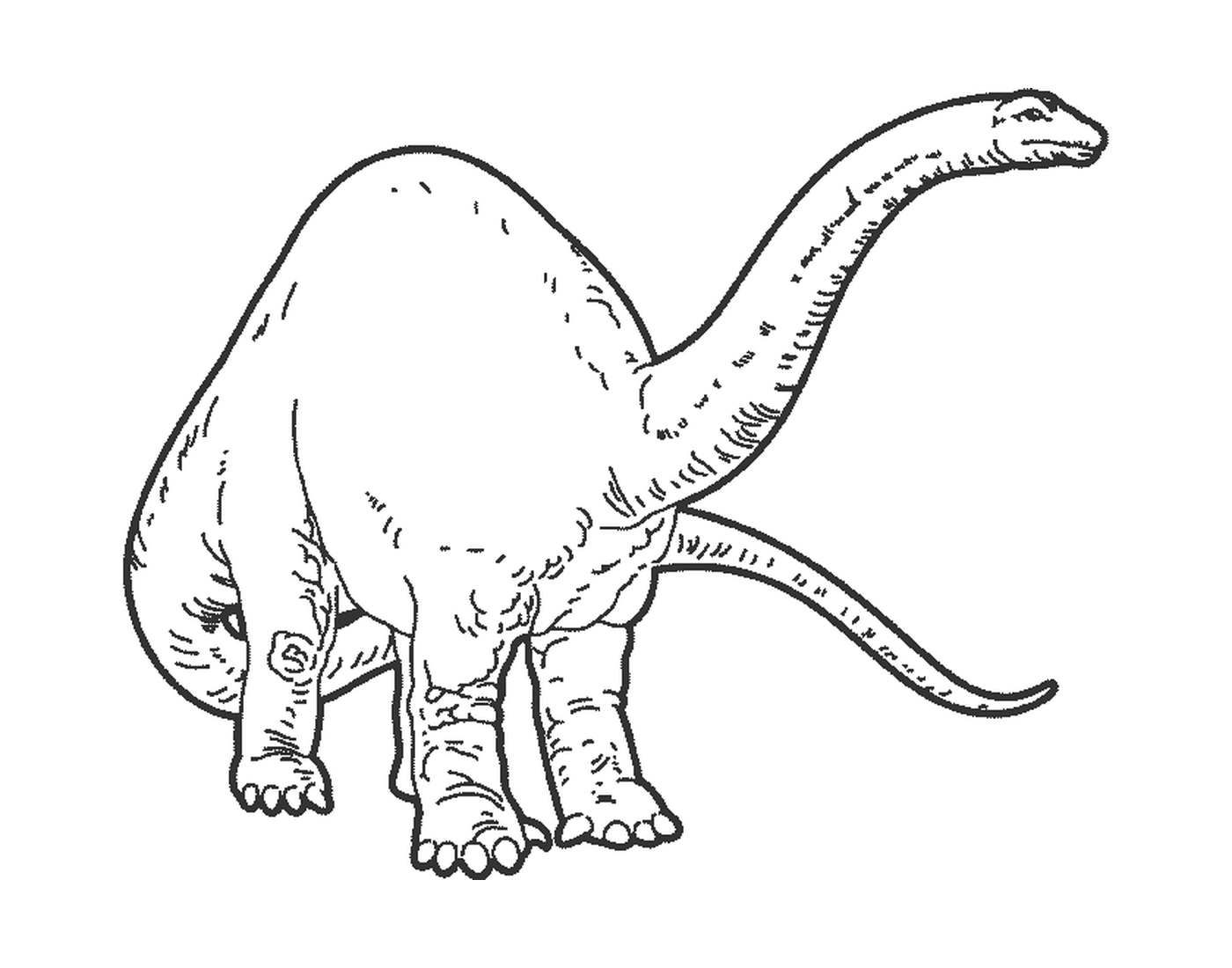  A long-legged animal 