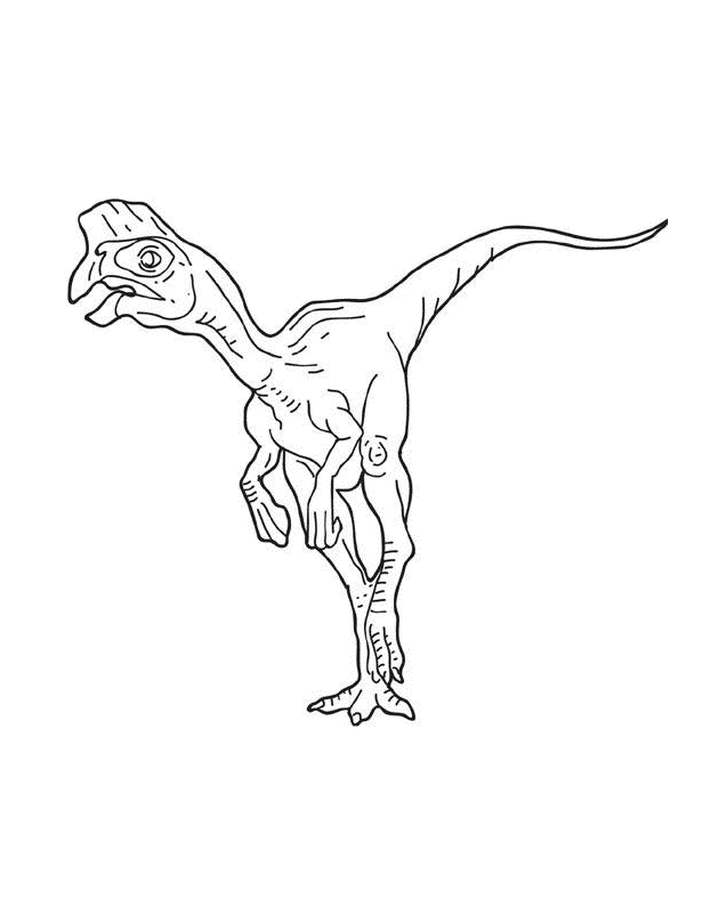  Un dinosaurio oviraptor de pie 