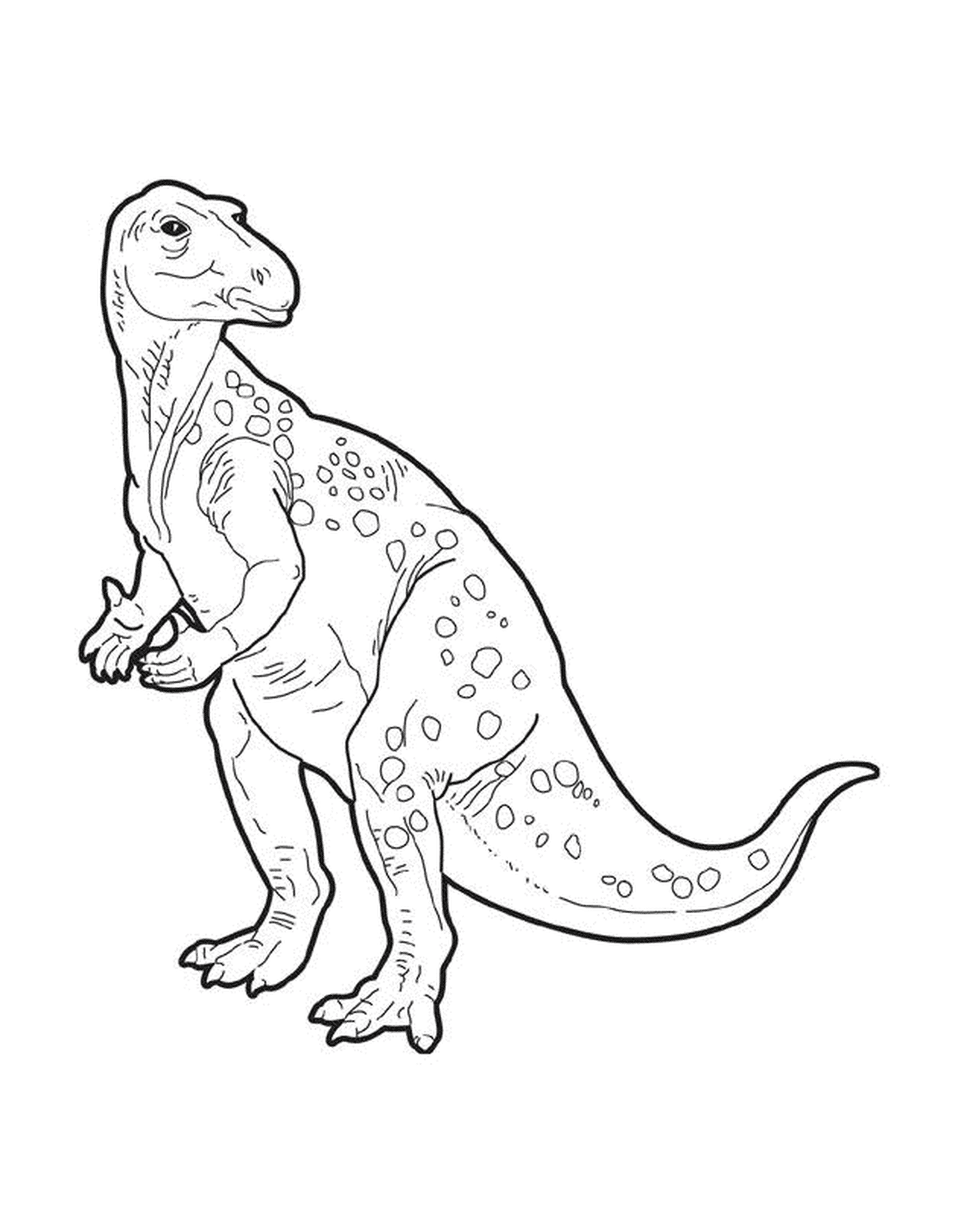  Ein erwachsener t-rex 