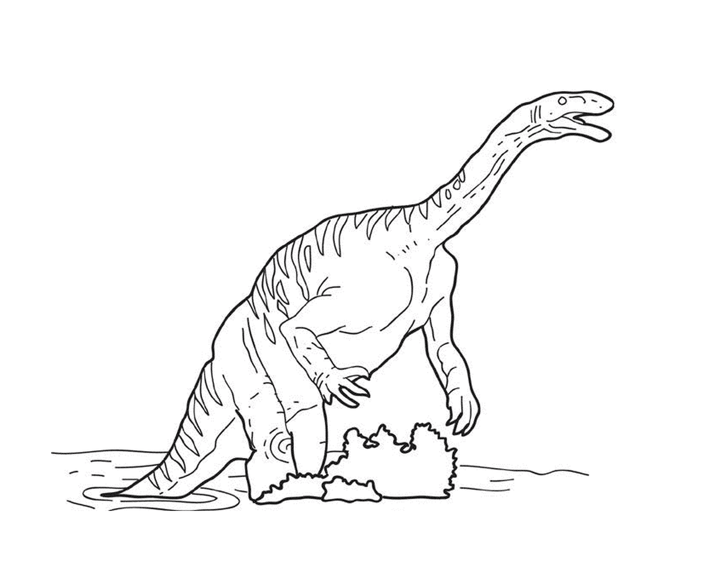  Ein Dinosaurier spielt im Wasser 