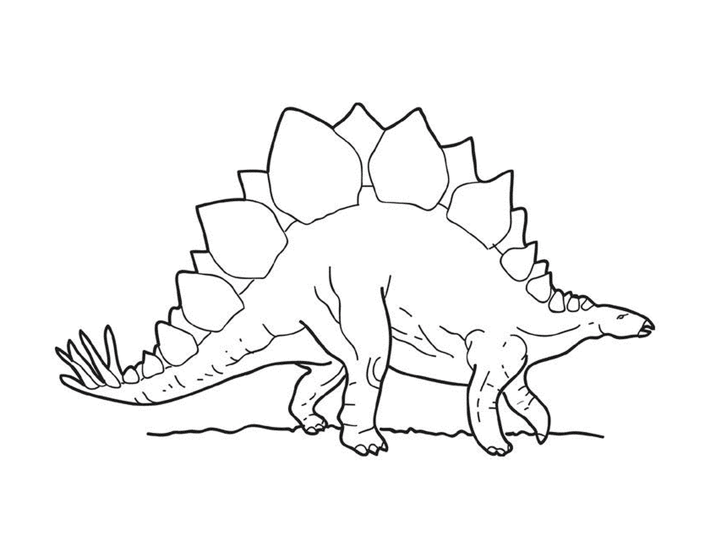 Uno stegosauro in piedi 