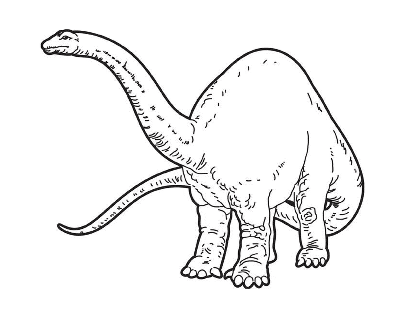 A dinosaur with a long tail 