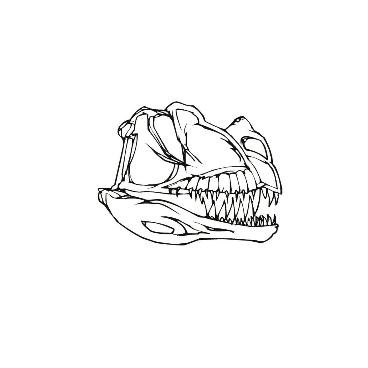  El cráneo de un dinosaurio con dientes 