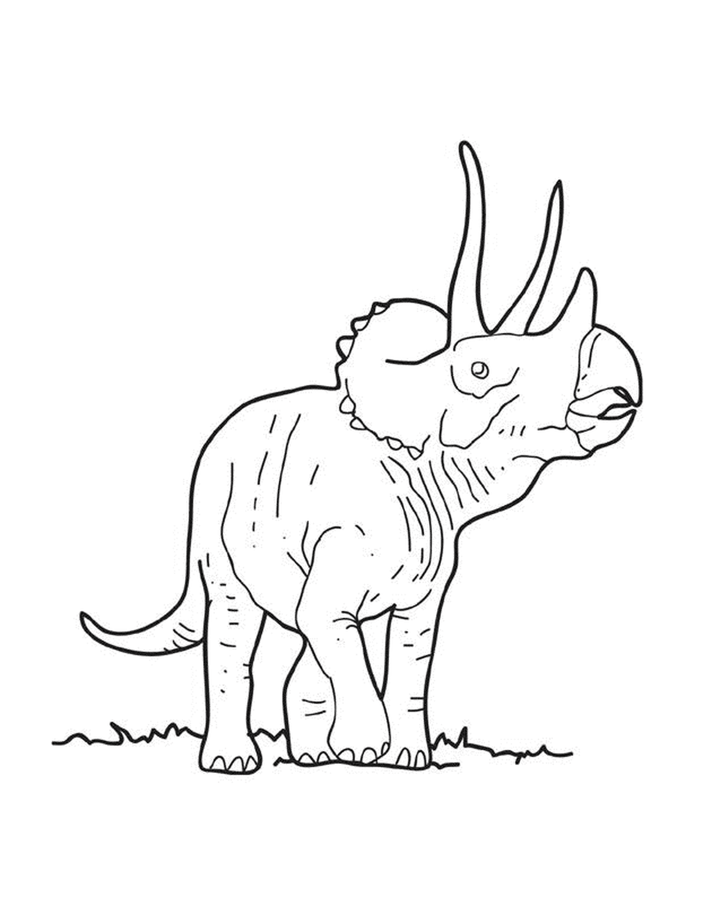  Ein erwachsener Triceratops im Gras 