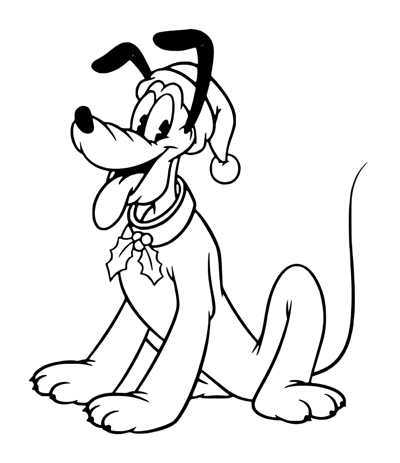  Pluto with bonnet and festive necklace 