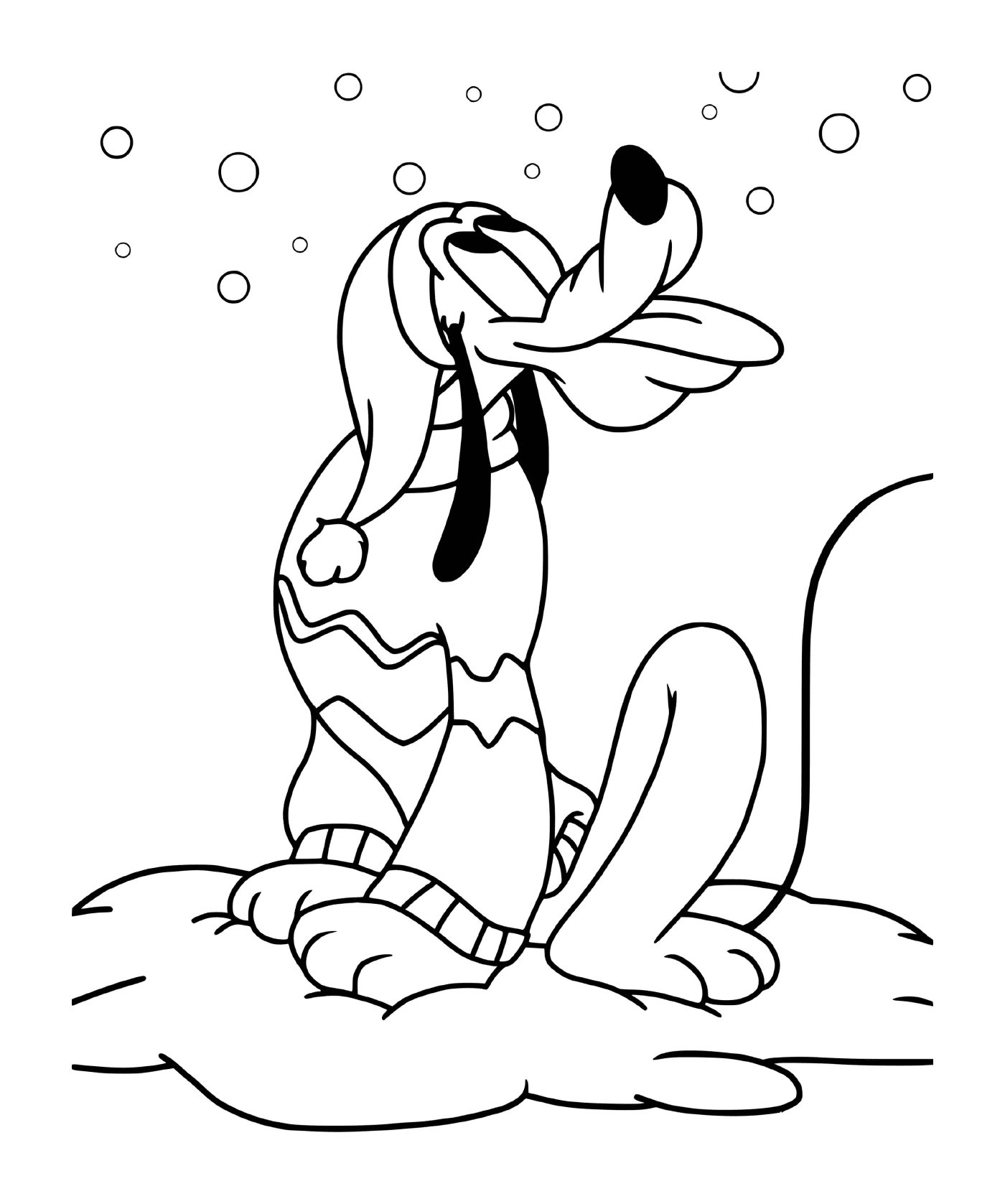  Pluto eating snow falling 