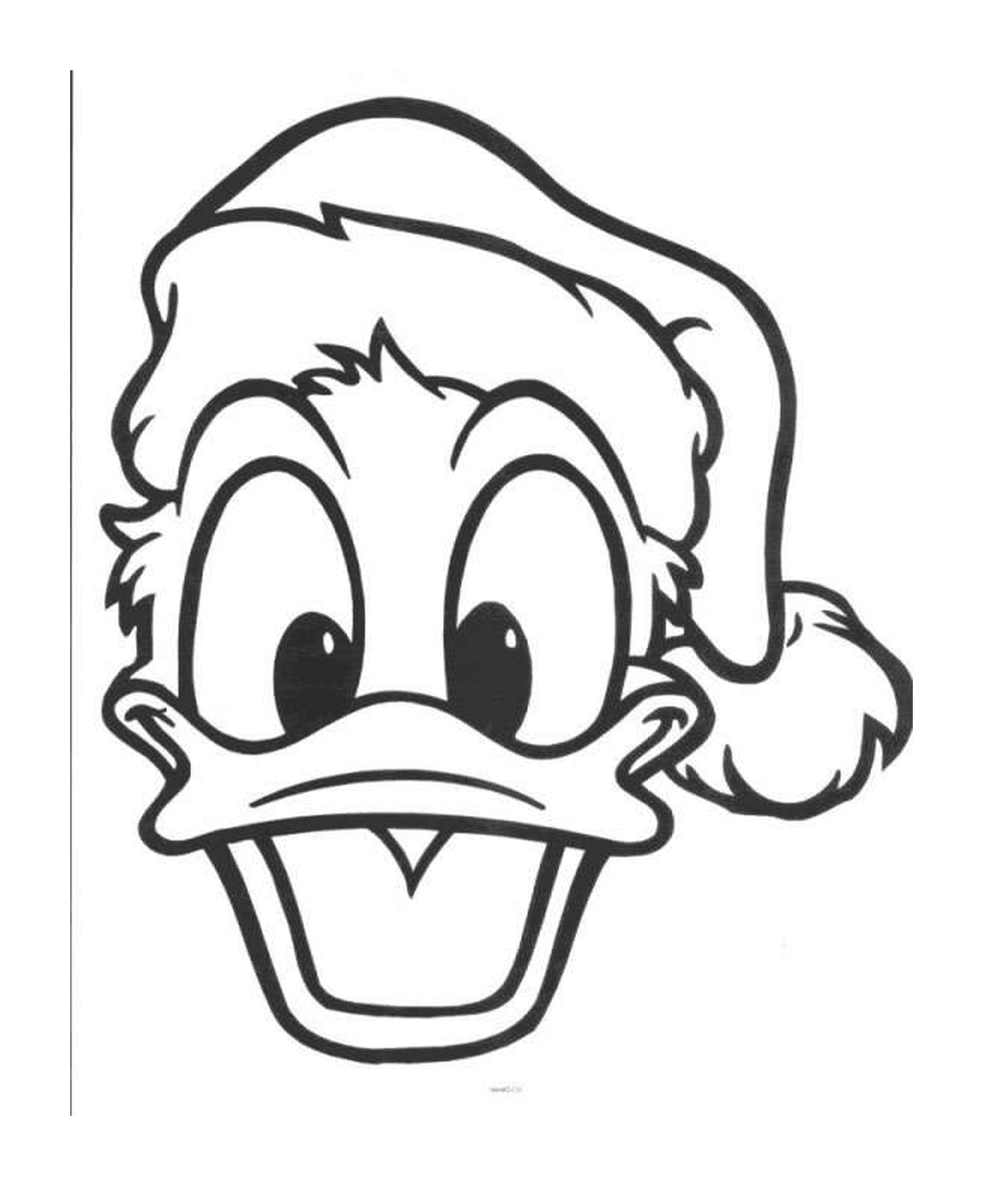 Duck hat holder Santa 