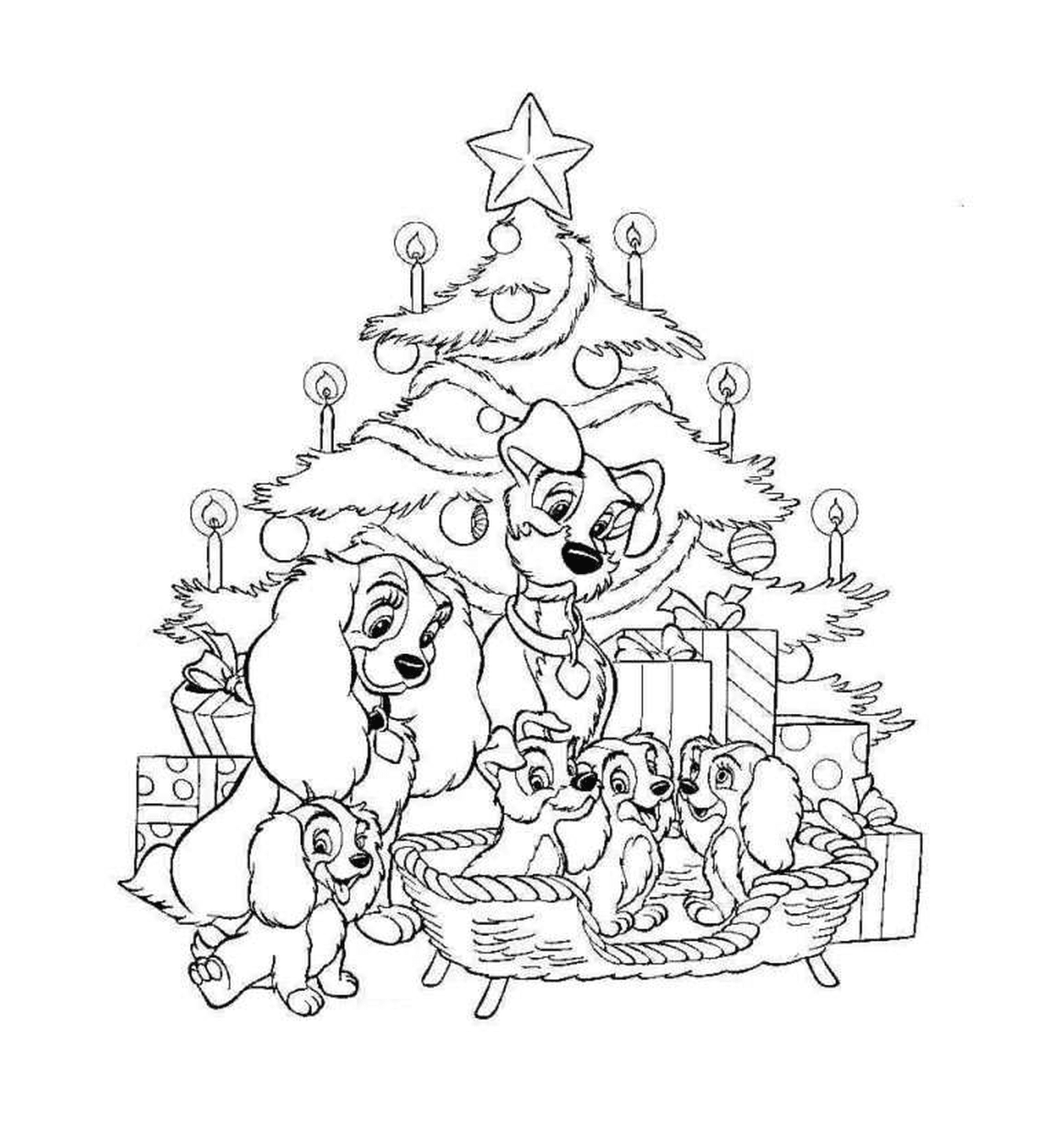  Grupo de perros en frente del árbol de Navidad 