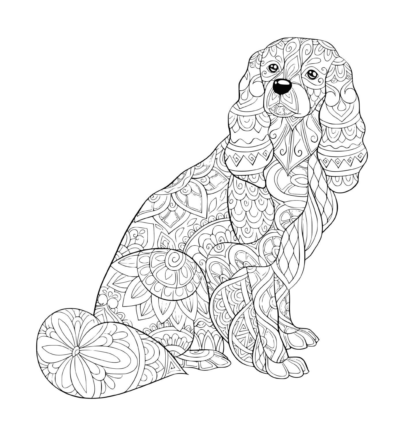  Teckel dog zentangle sausage for adult stress relief 